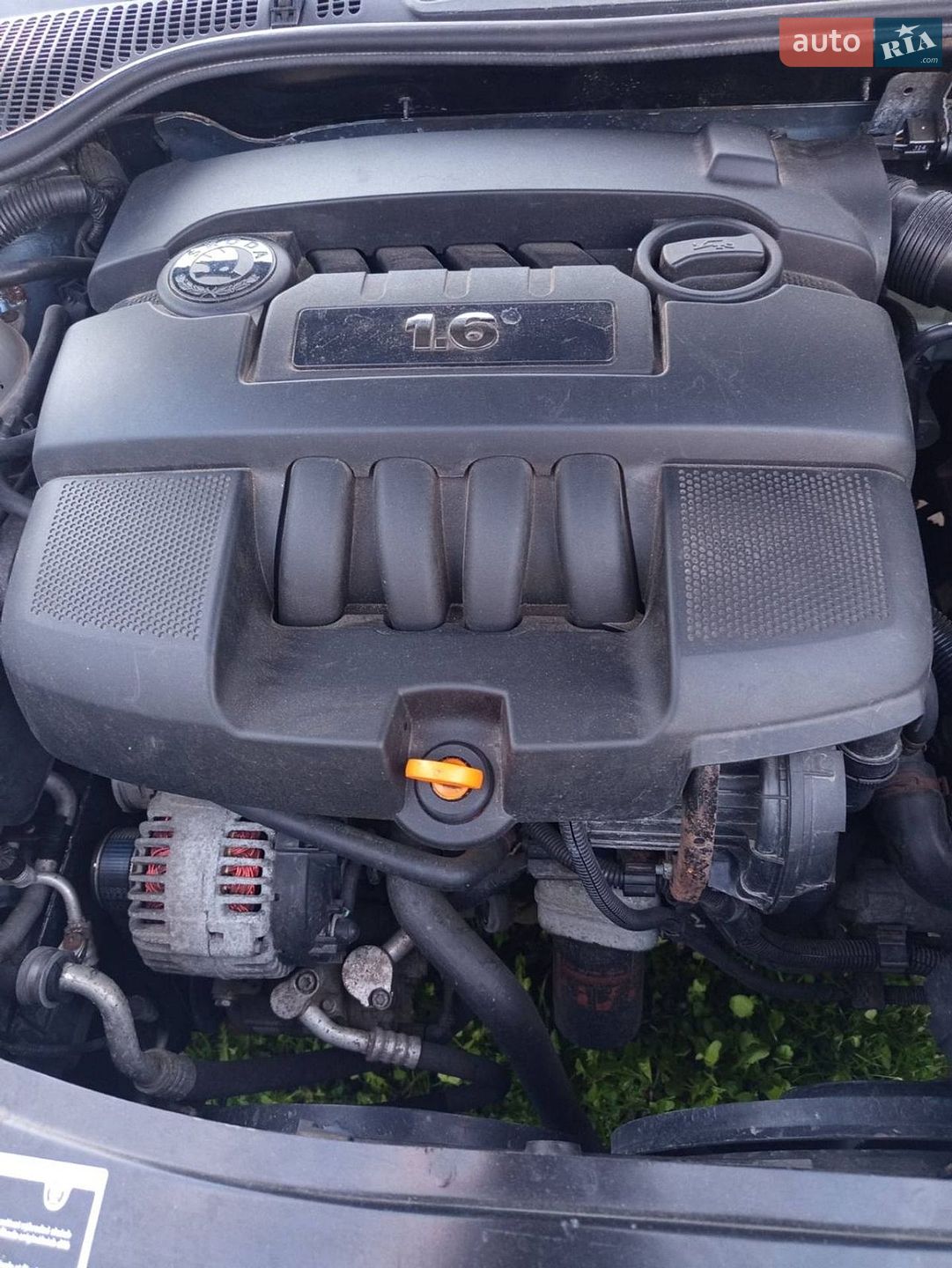 Skoda Octavia 2004 VIN TMBHA61Z352032615 фото оголошення 38 з 38