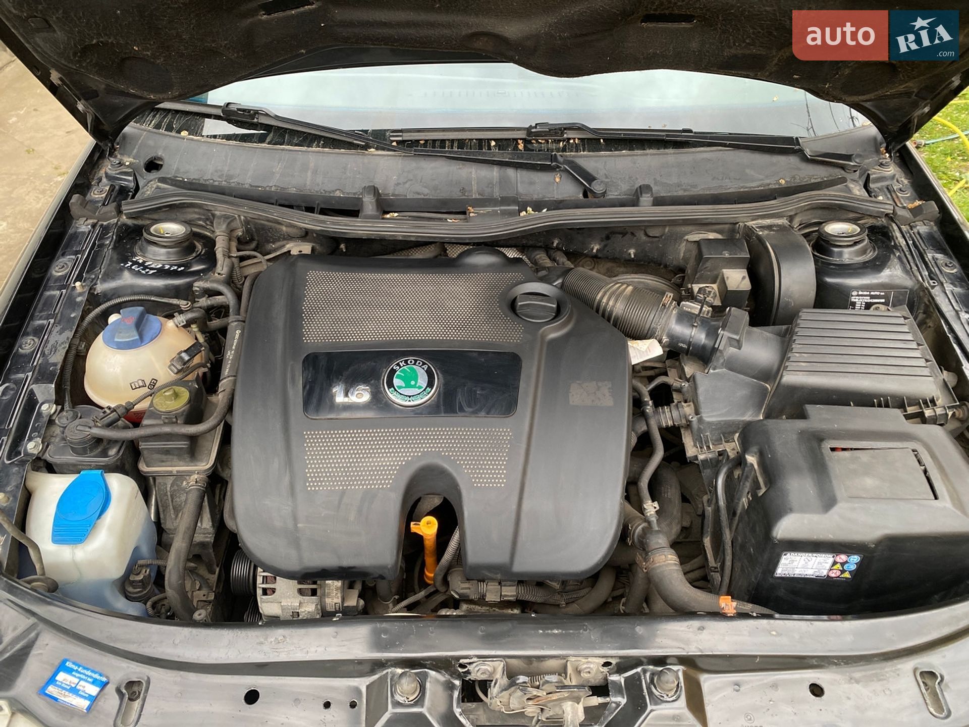 Skoda Octavia 2003 VIN TMBJX21U242856195 фото оголошення 56 з 57