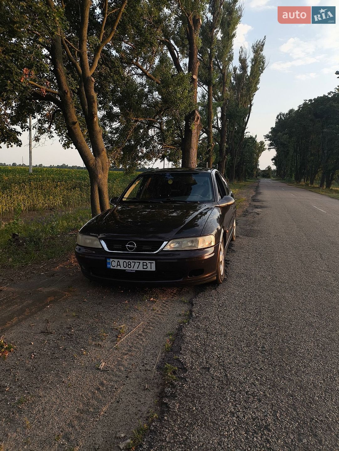Opel Vectra 2000 VIN W0L0JBF68Y7055651 фото оголошення 11 з 16