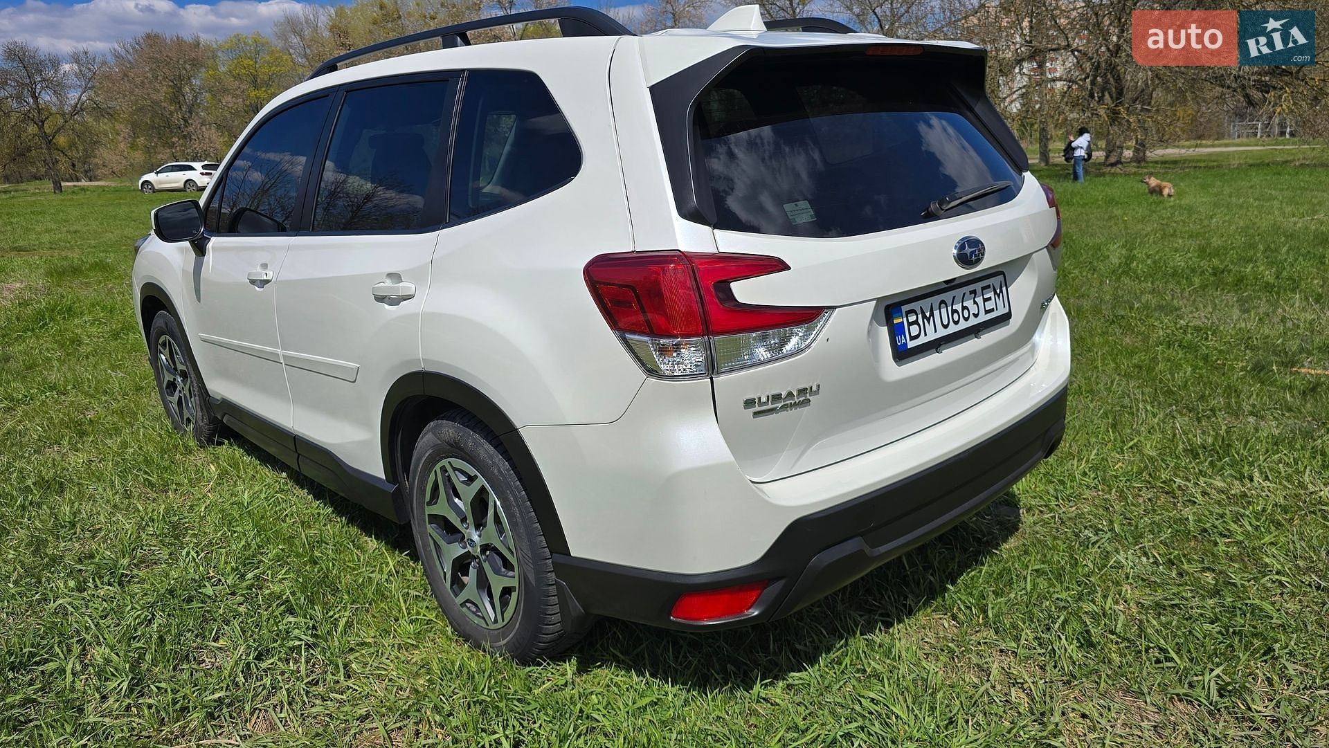 Subaru Forester 2019 VIN JF2SKAJC1LH479425 фото оголошення 14 з 29