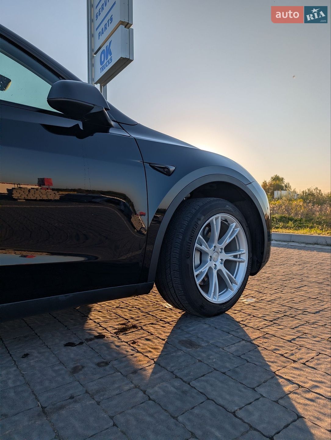 Tesla Model Y 2024 VIN 7SAYGDED9RF055789 фото оголошення 6 з 38