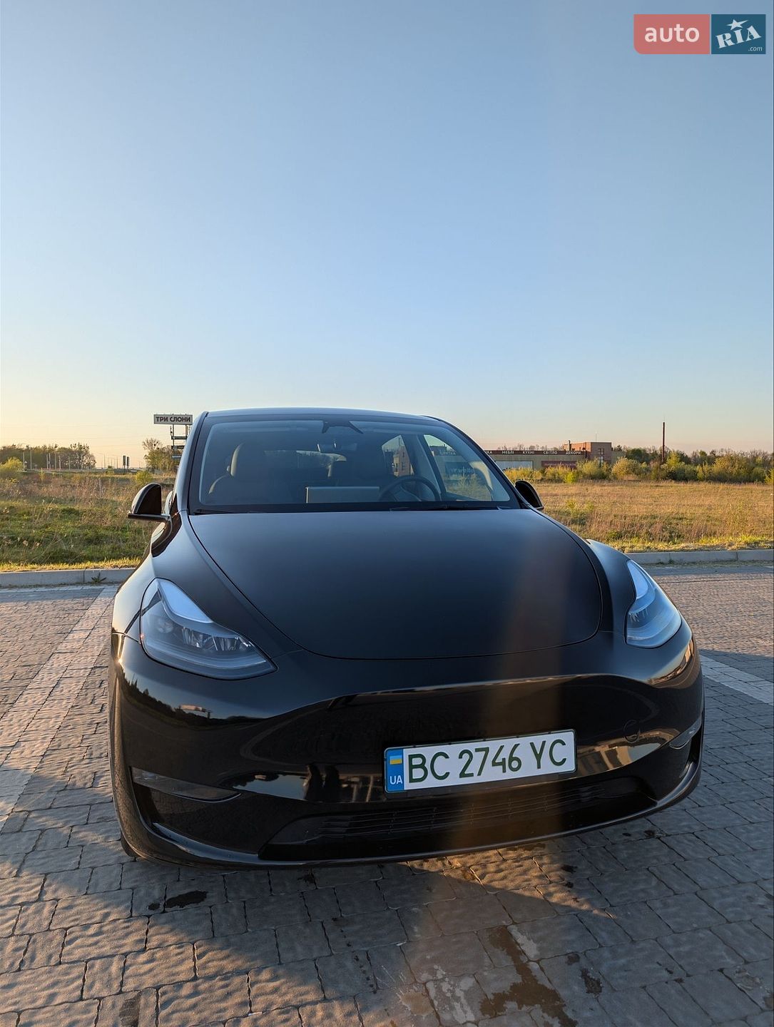 Tesla Model Y 2024 VIN 7SAYGDED9RF055789 фото оголошення 34 з 38