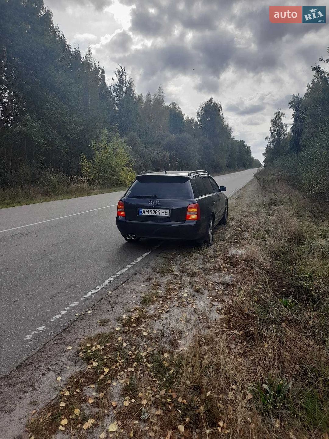 Audi A4 1999 VIN WAUZZZ8DZXA250309 фото оголошення 49 з 65
