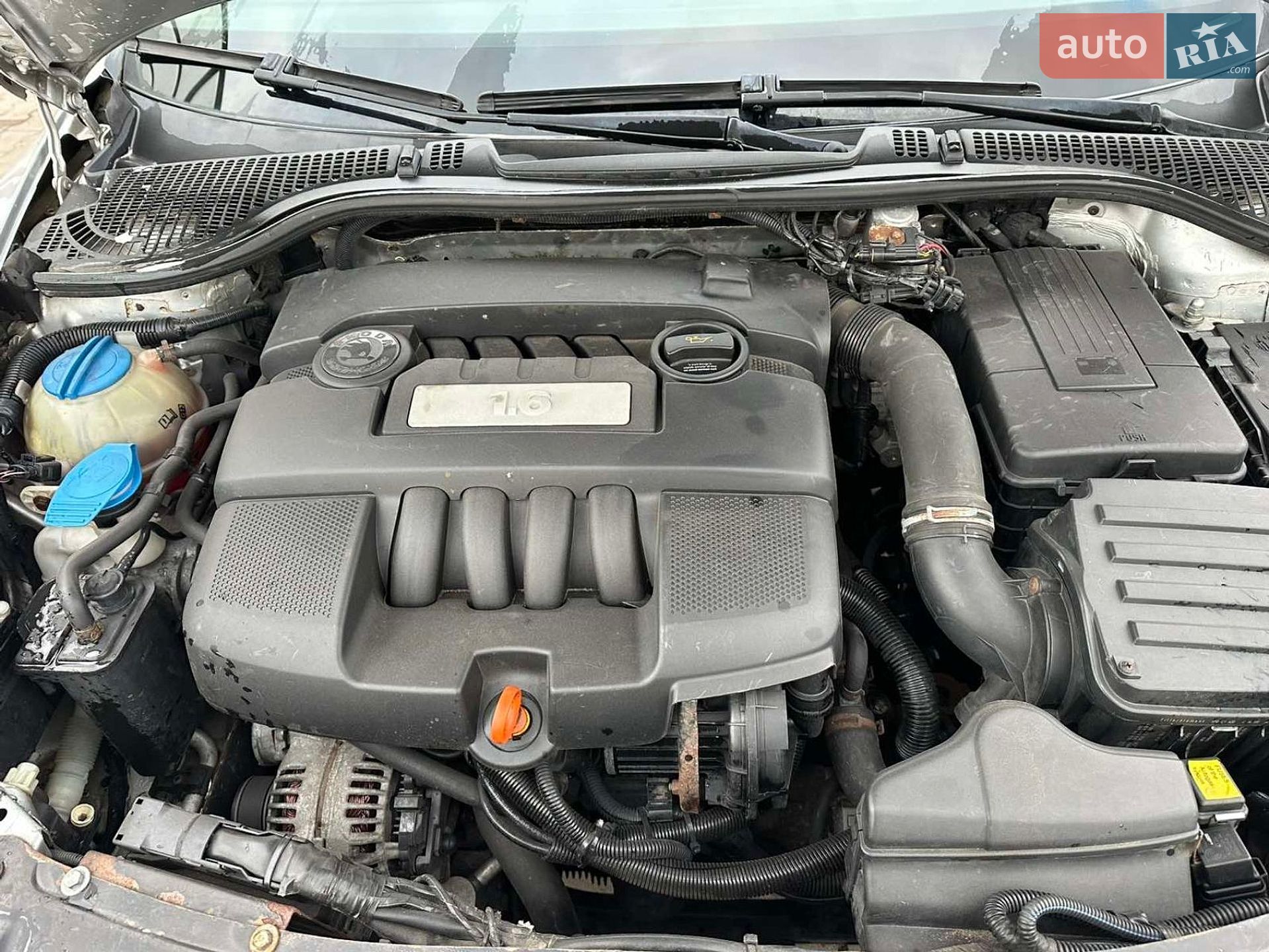Skoda Octavia 2008 VIN TMBHA61Z692016236 фото оголошення 14 з 34