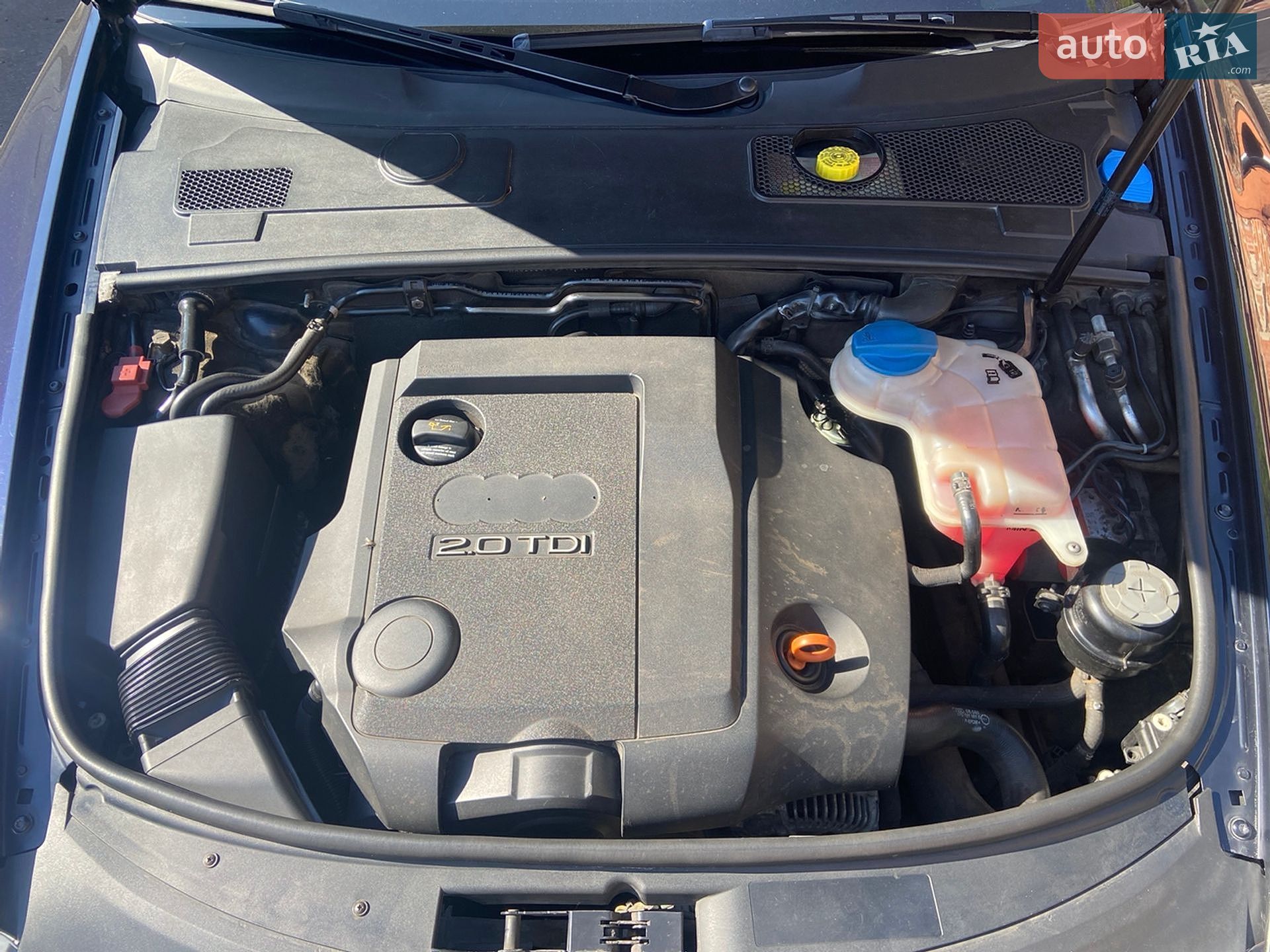 Audi A6 2005 VIN WAUZZZ4F75N101527 фото оголошення 77 з 81