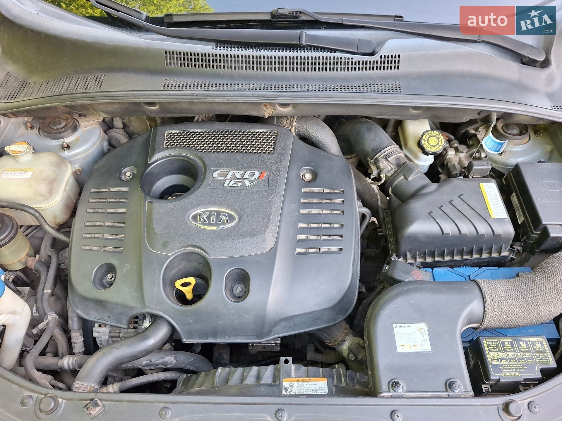 Kia Sportage 2007 VIN U6YJE55558L011058 фото оголошення 21 з 23