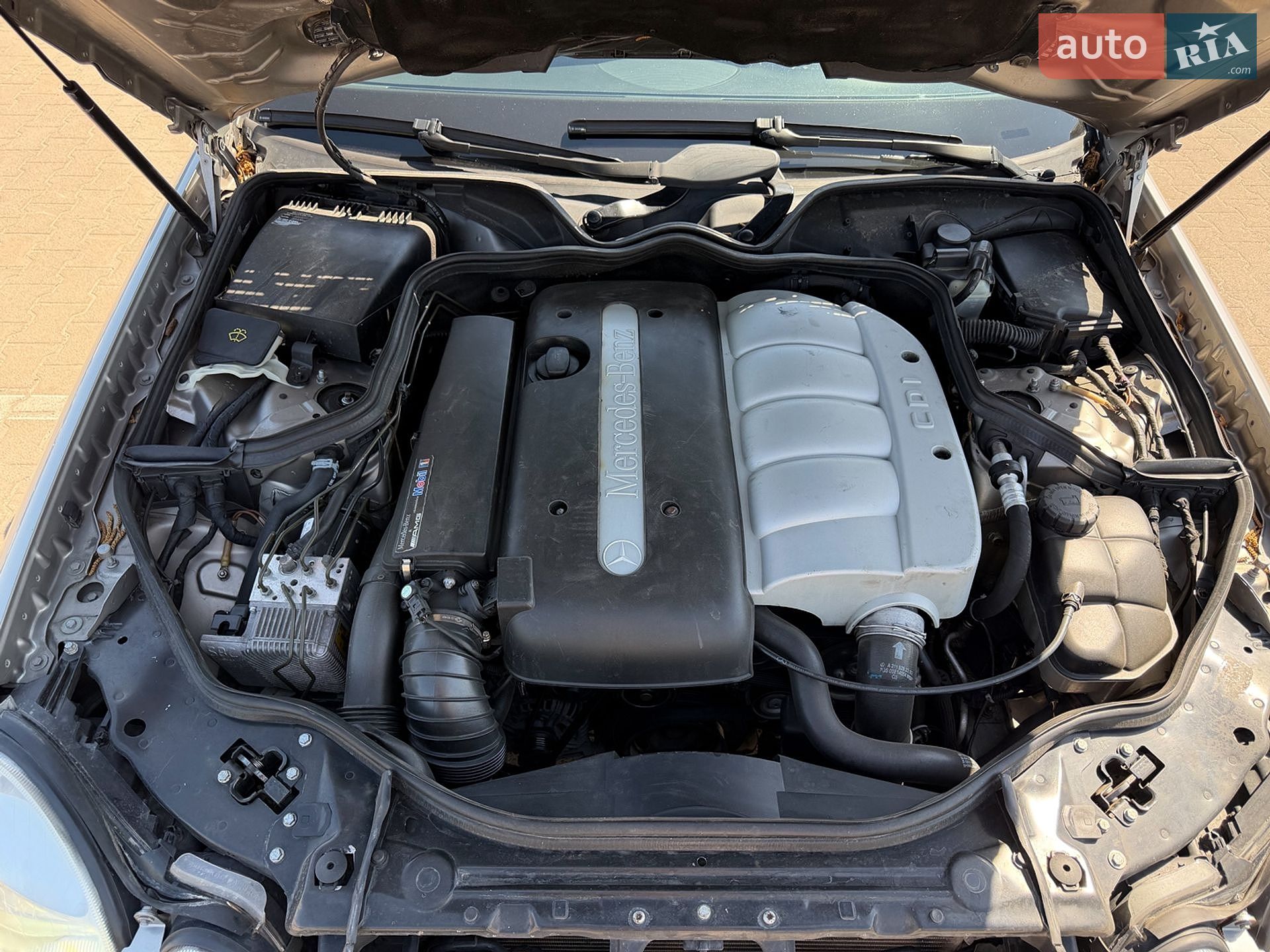 Mercedes-Benz E-Class 2003 VIN WDB2110061A365505 фото оголошення 19 з 19