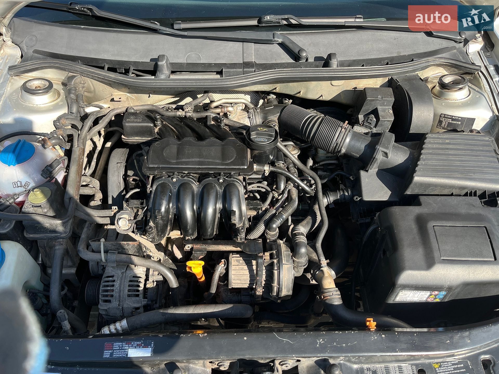 Skoda Octavia 2004 VIN TMBJX21U542901419 фото оголошення 15 з 17