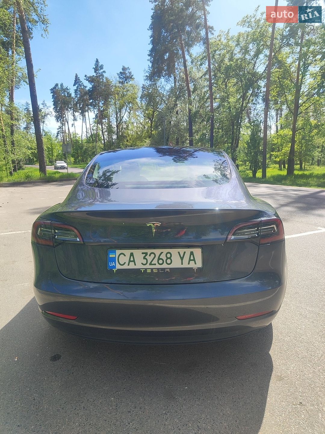 Tesla Model 3 2022 VIN 5YJ3E1EA2PF450346 фото оголошення 11 з 24