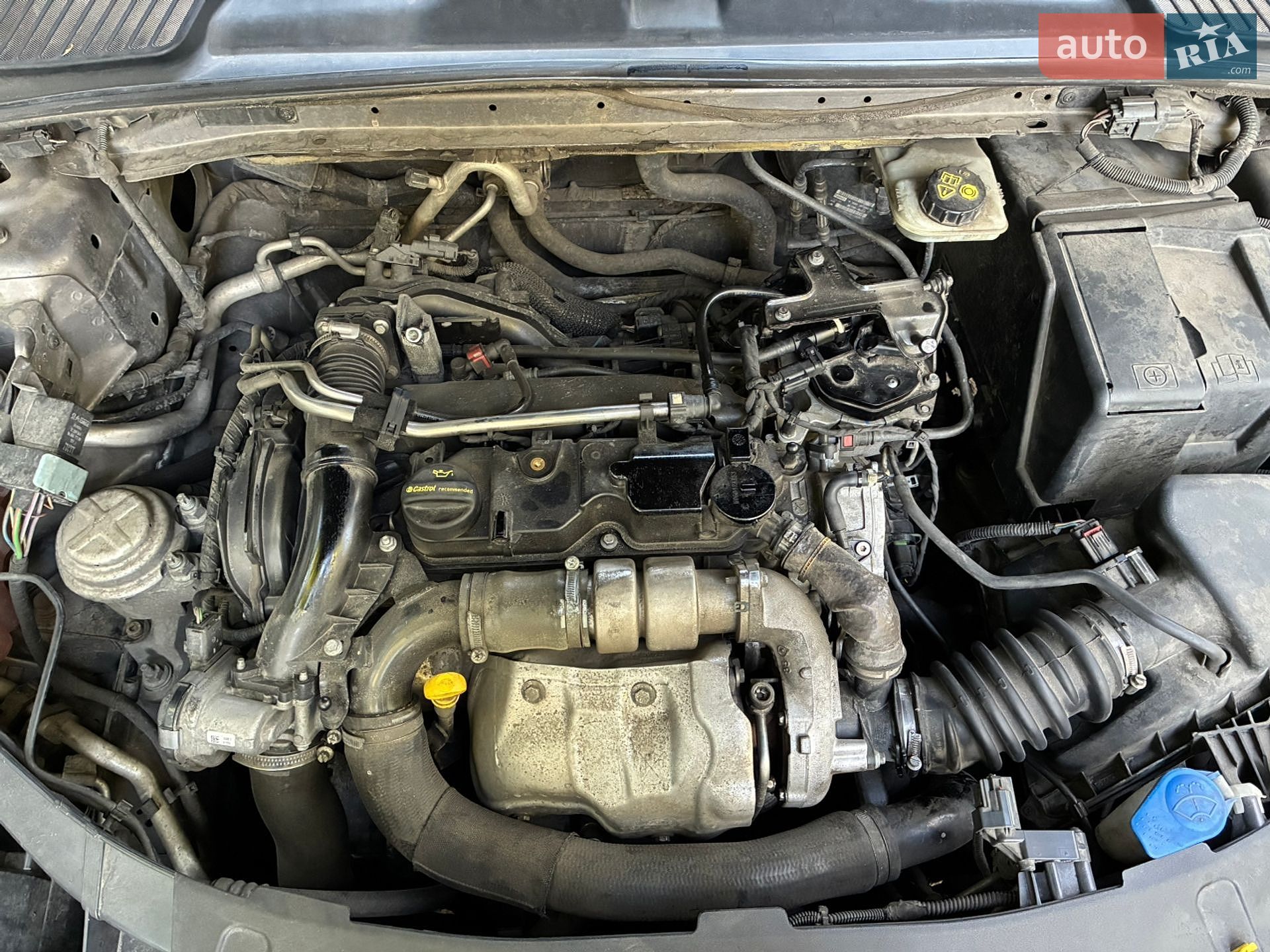 Ford Mondeo 2011 VIN WF0EXXGBBEBE06142 фото оголошення 11 з 12