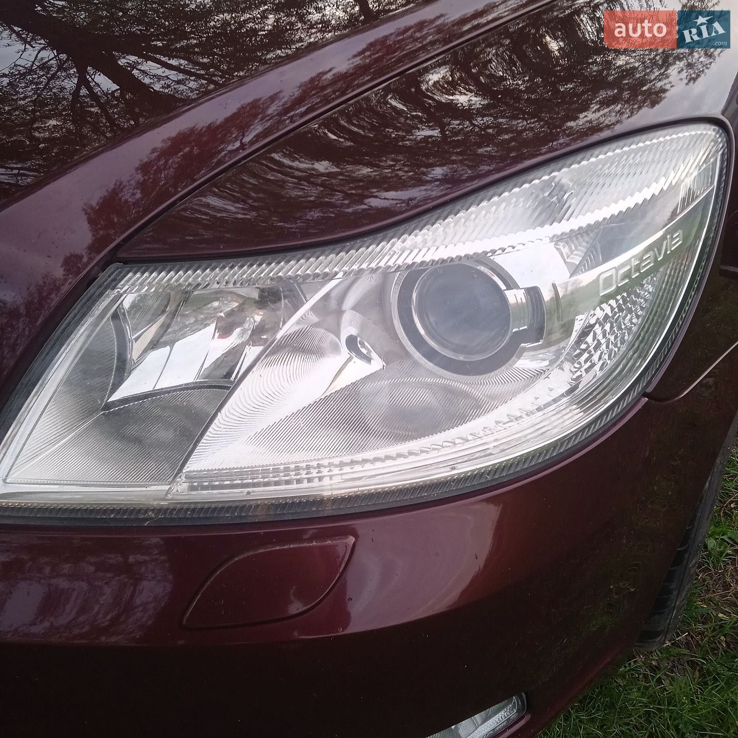 Skoda Octavia 2010 VIN TMBGE61Z5A2095998 фото оголошення 20 з 23