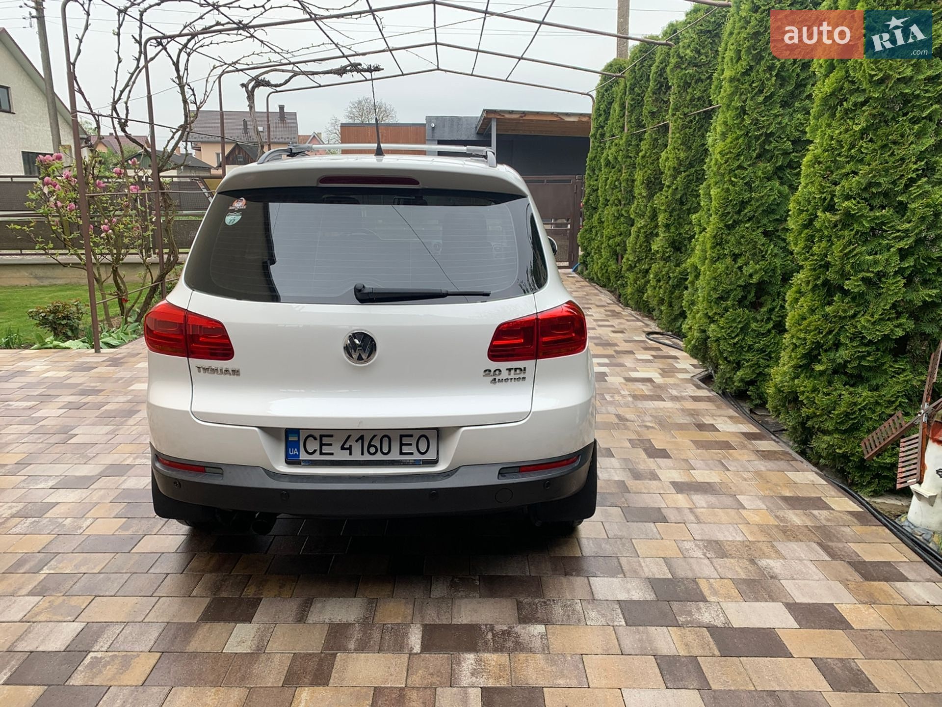 Volkswagen Tiguan 2010 VIN WVGZZZ5NZBW030012 фото оголошення 6 з 9