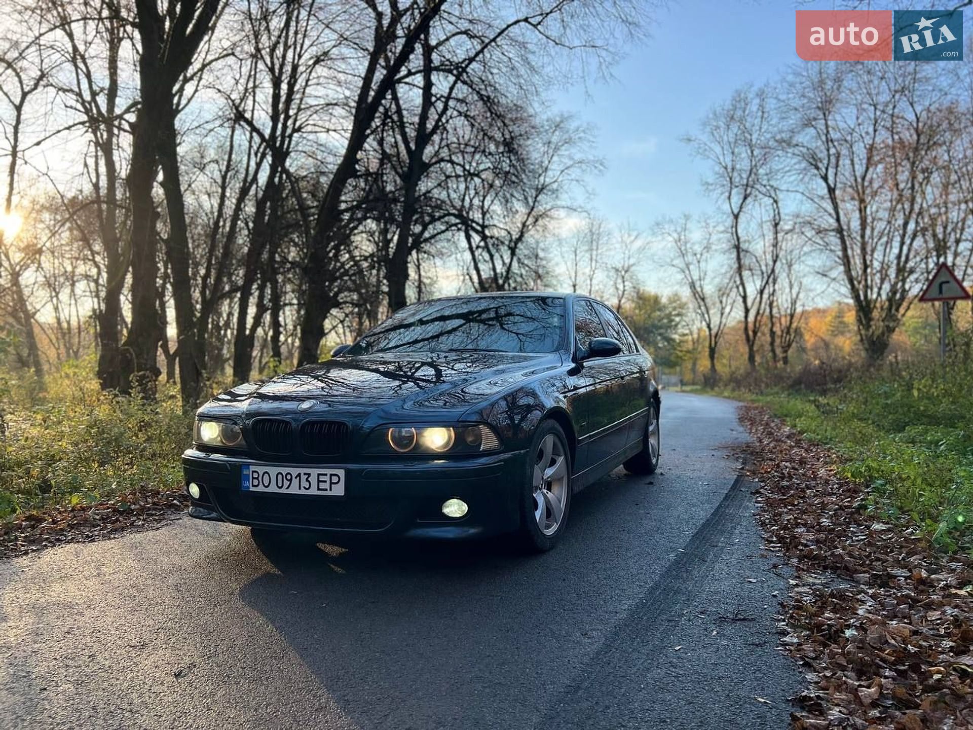 BMW 5 Series 2002 VIN WBADL01020GY08846 фото оголошення 3 з 15