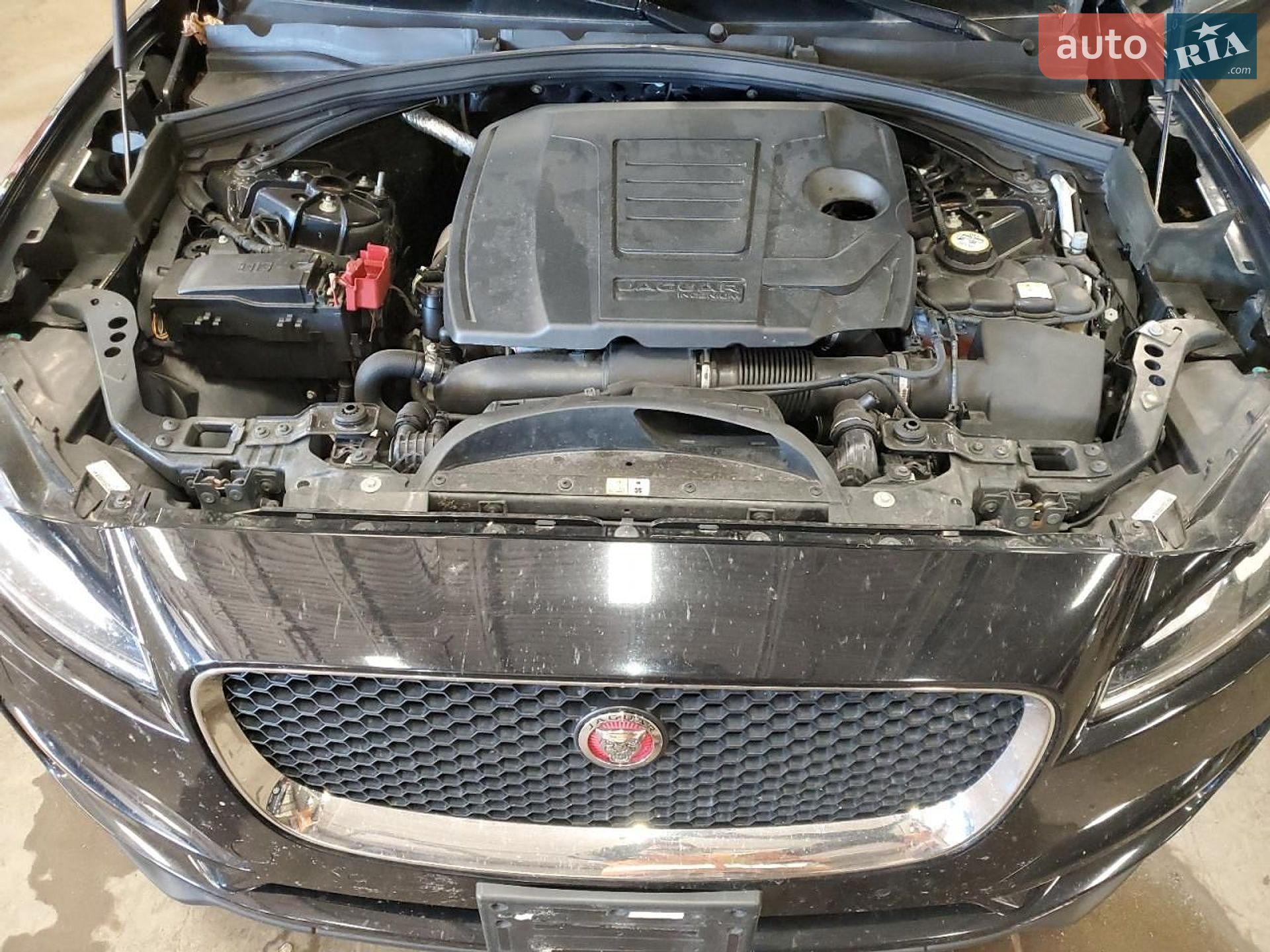 Jaguar F-Pace 2018 VIN SADCN2GX8JA321975 фото оголошення 2 з 102