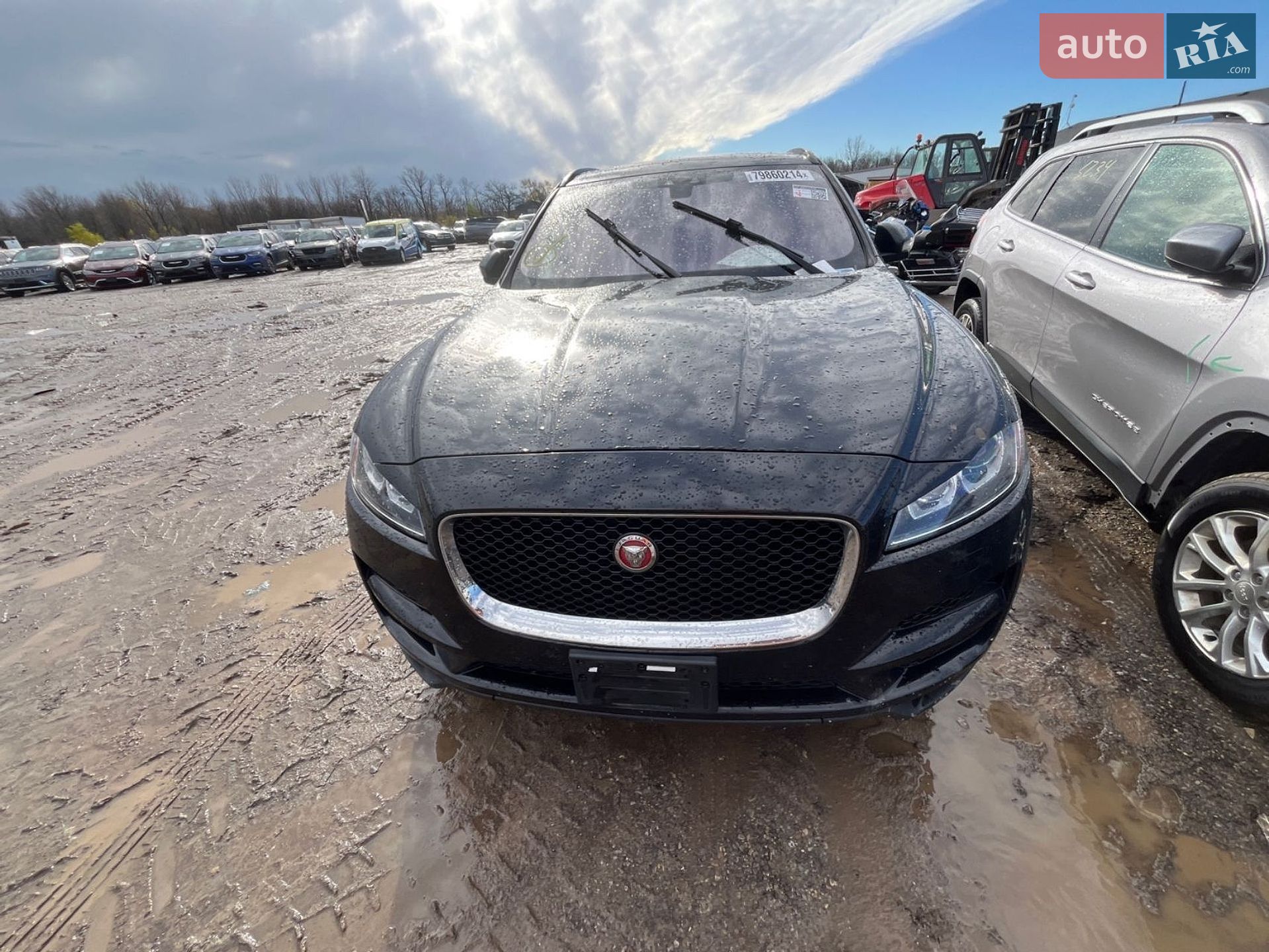 Jaguar F-Pace 2018 VIN SADCN2GX8JA321975 фото оголошення 52 з 102