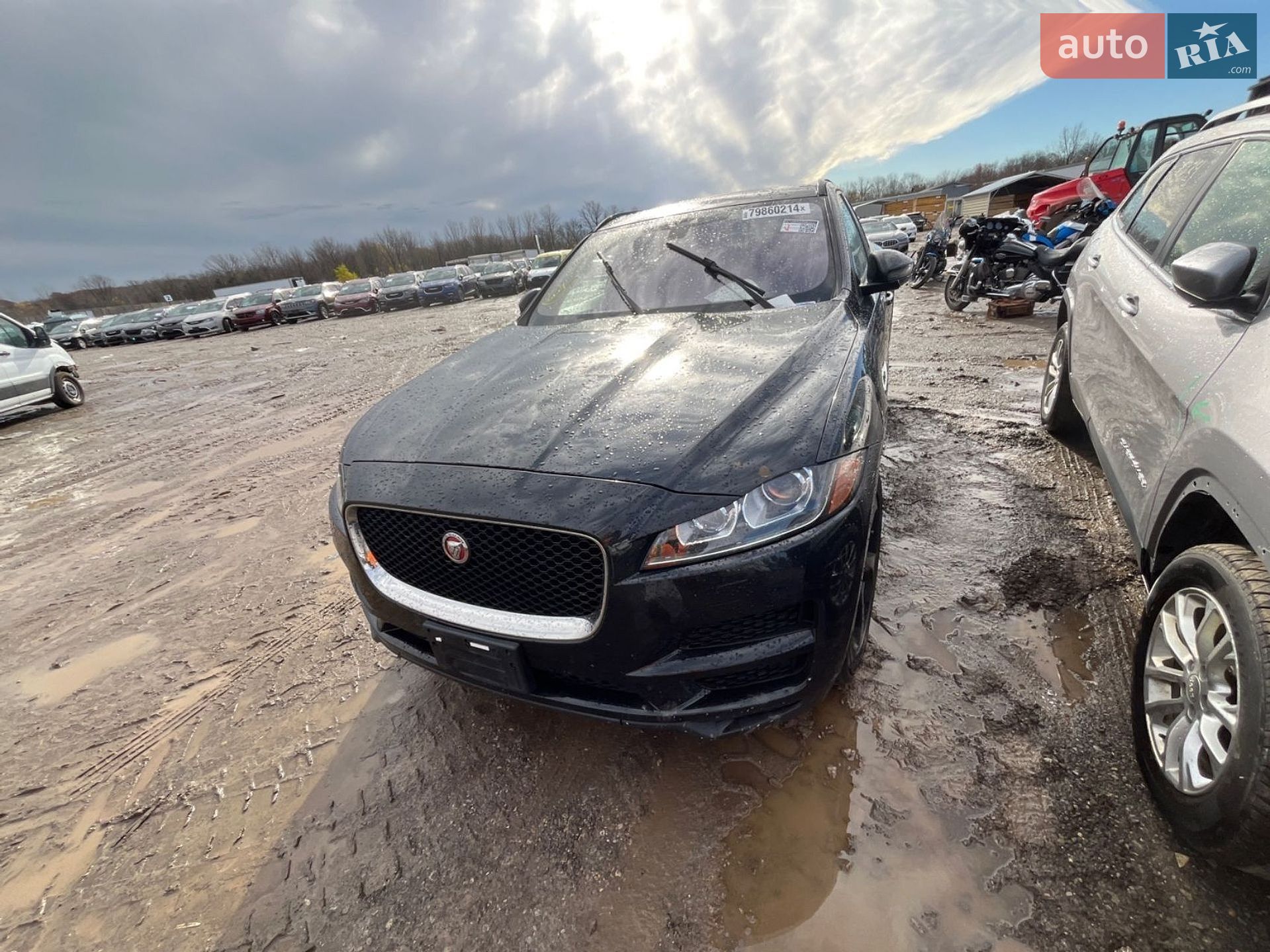 Jaguar F-Pace 2018 VIN SADCN2GX8JA321975 фото оголошення 51 з 102