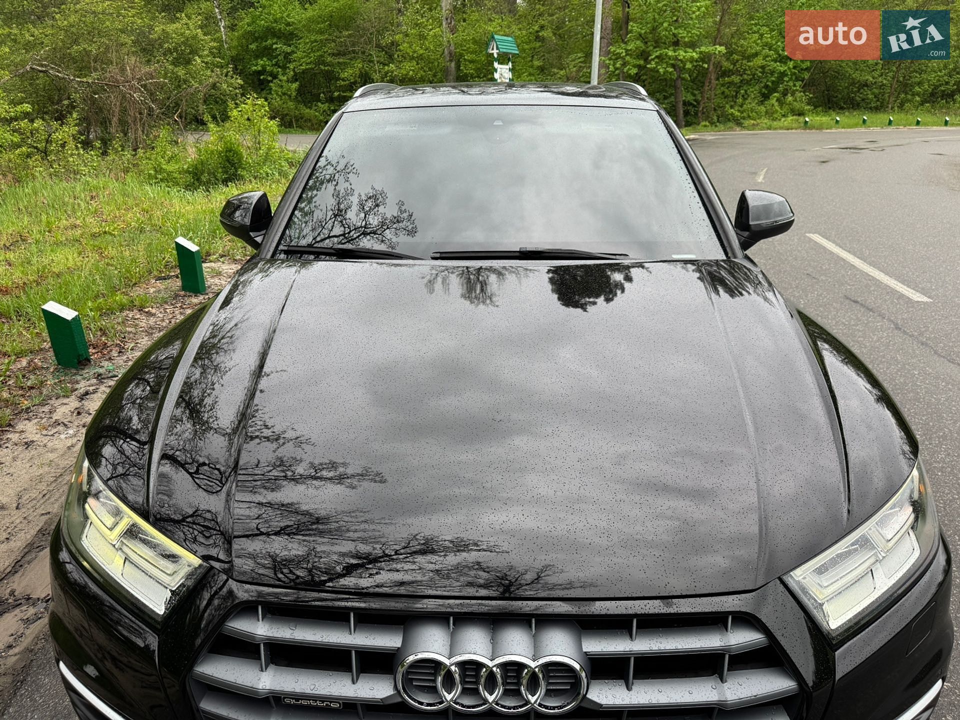 Audi Q5 2017 VIN WA1BNAFY6J2007046 фото оголошення 47 з 92