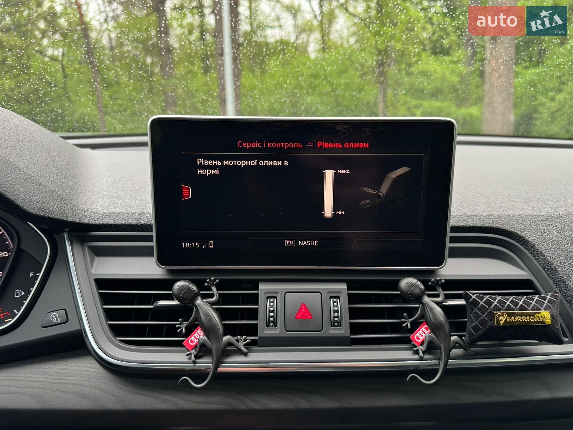Audi Q5 2017 VIN WA1BNAFY6J2007046 фото оголошення 76 з 92