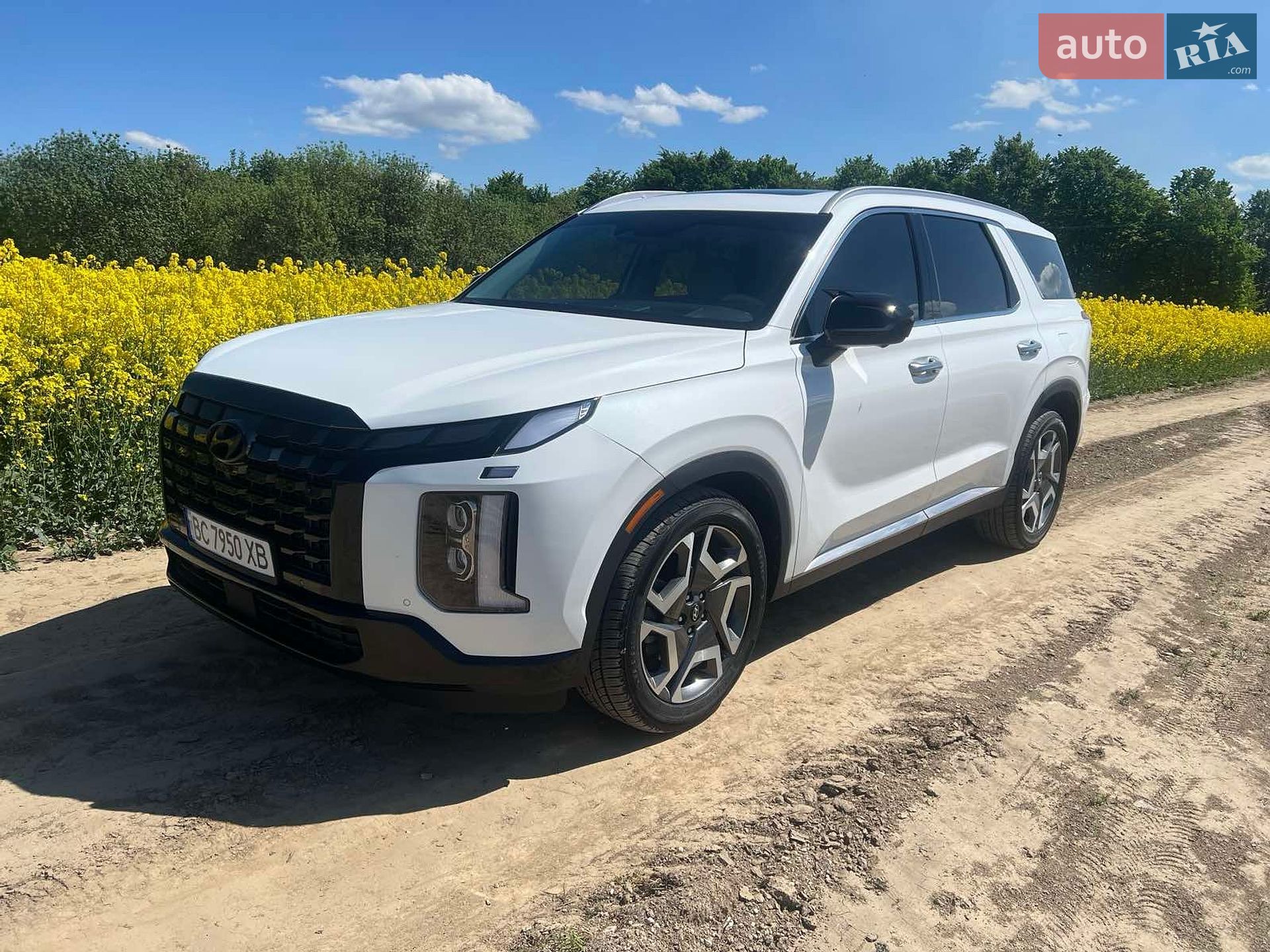 Hyundai Palisade 2023 VIN KM8R5DGE4PU602108 фото оголошення 12 з 28