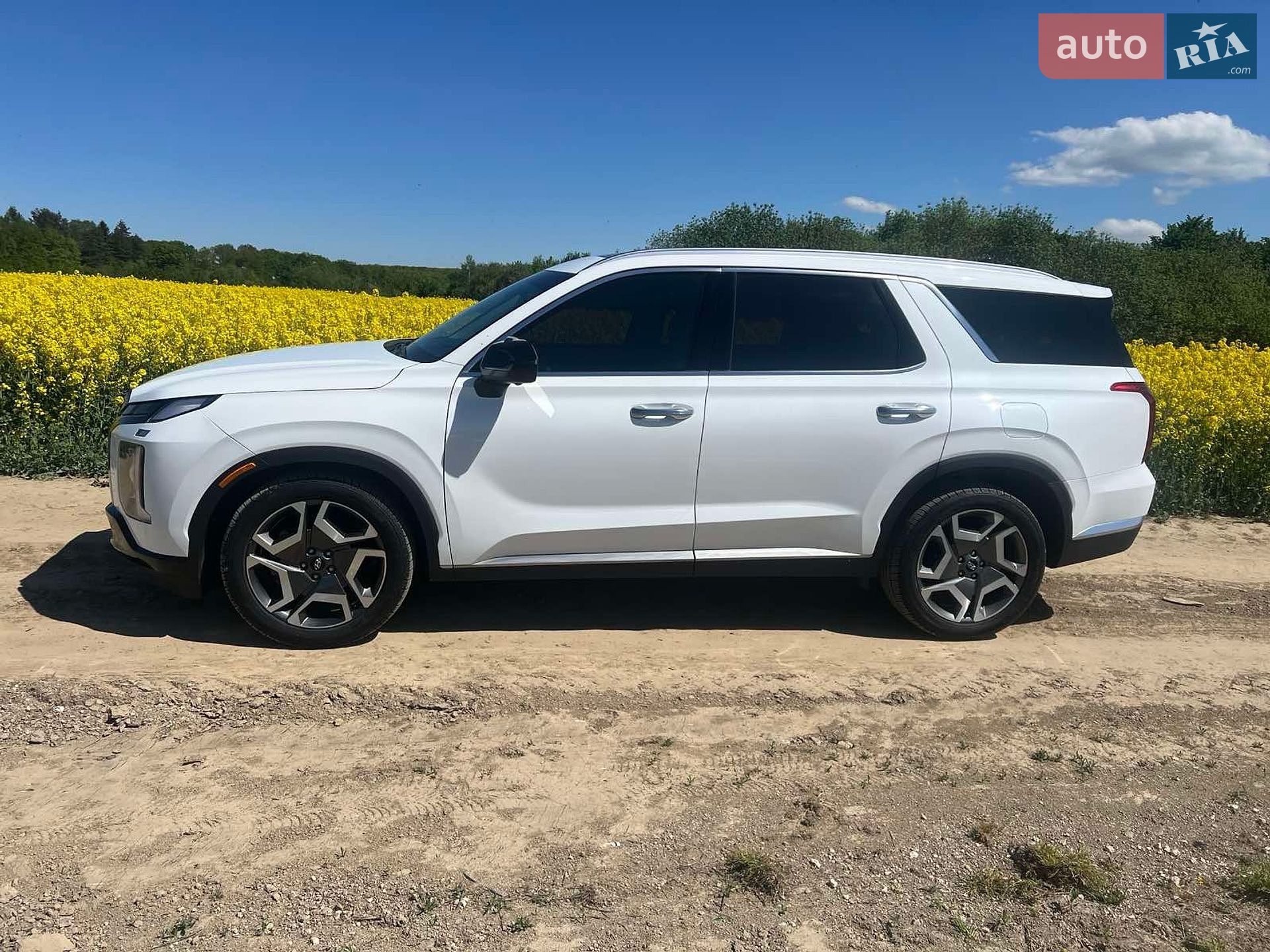 Hyundai Palisade 2023 VIN KM8R5DGE4PU602108 фото оголошення 14 з 28