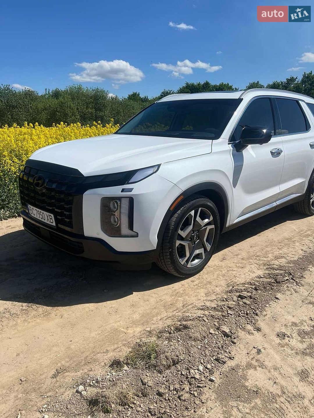 Hyundai Palisade 2023 VIN KM8R5DGE4PU602108 фото оголошення 18 з 28