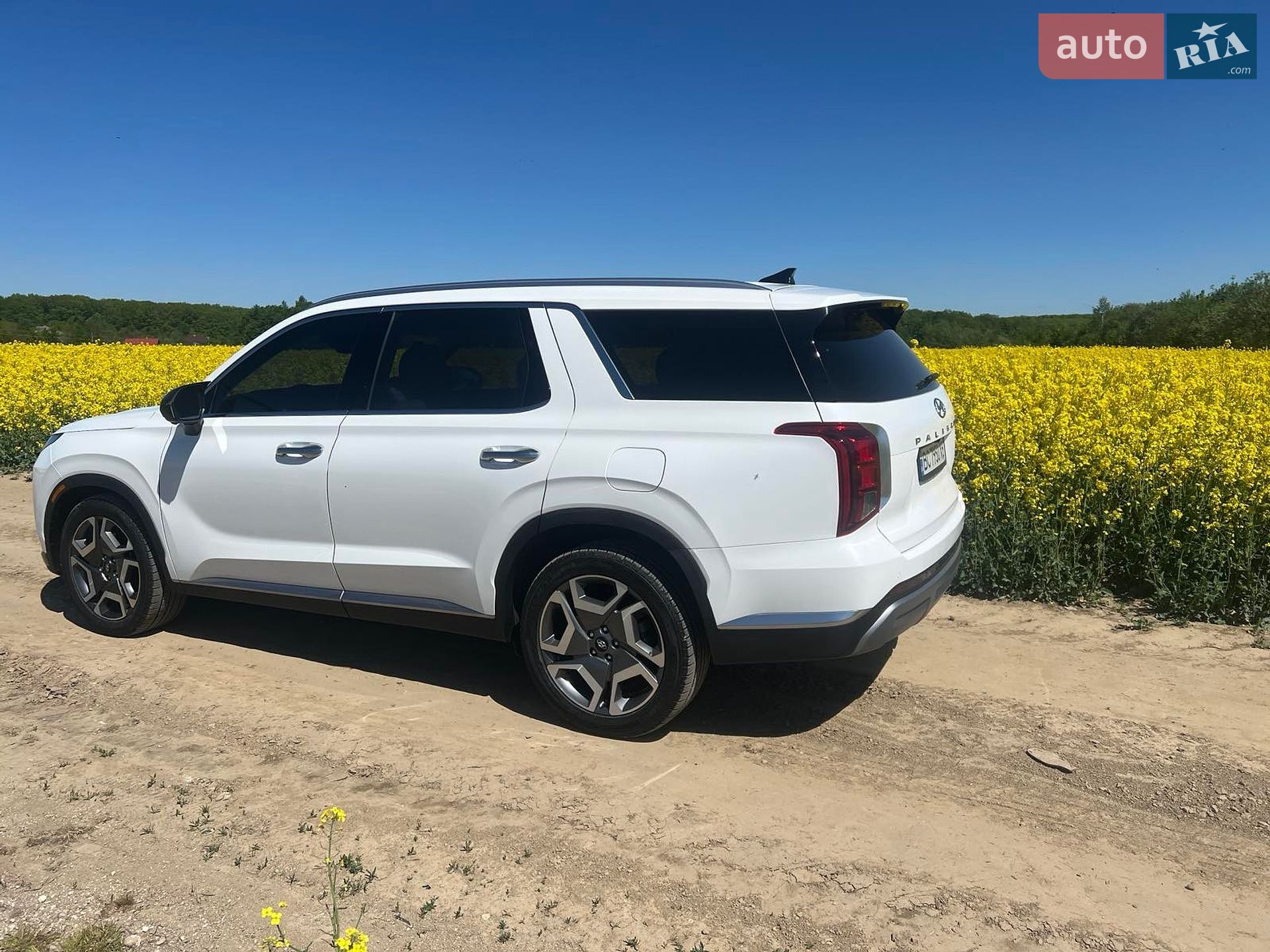 Hyundai Palisade 2023 VIN KM8R5DGE4PU602108 фото оголошення 28 з 28