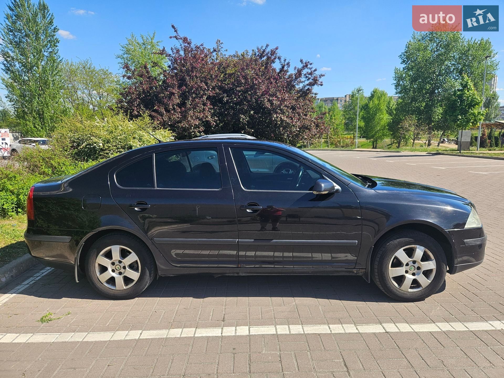 Skoda Octavia 2005 VIN TMBBA41Z252057449 фото оголошення 6 з 36
