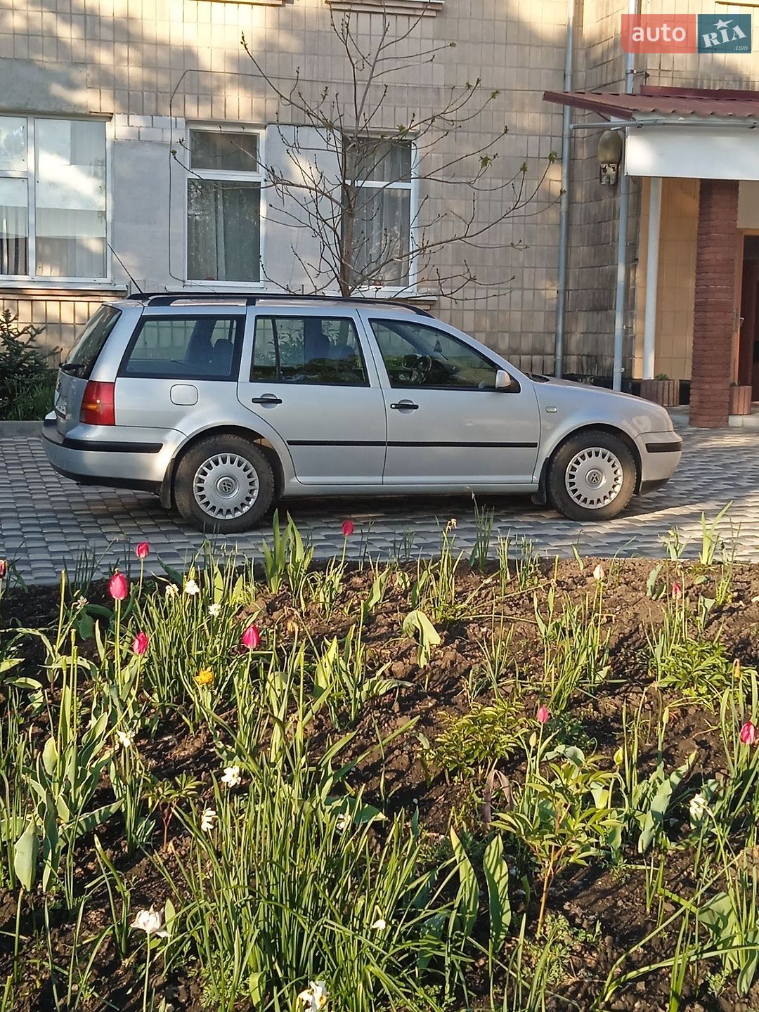 Volkswagen Golf 1999 VIN WVWZZZ1JZYW325852 фото оголошення 5 з 14