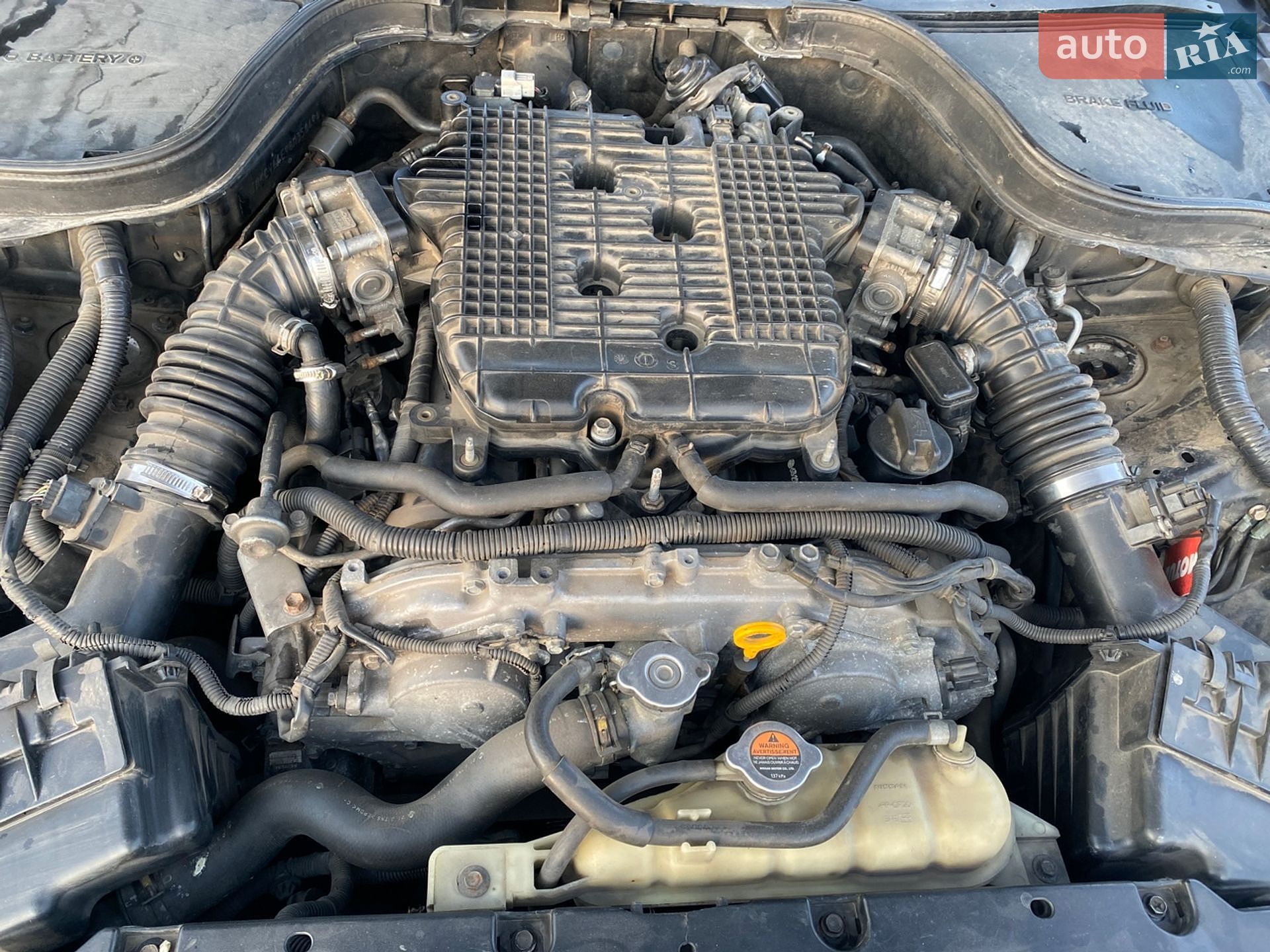 Infiniti G37 2009 VIN JNKCV64E98M350494 фото оголошення 12 з 13
