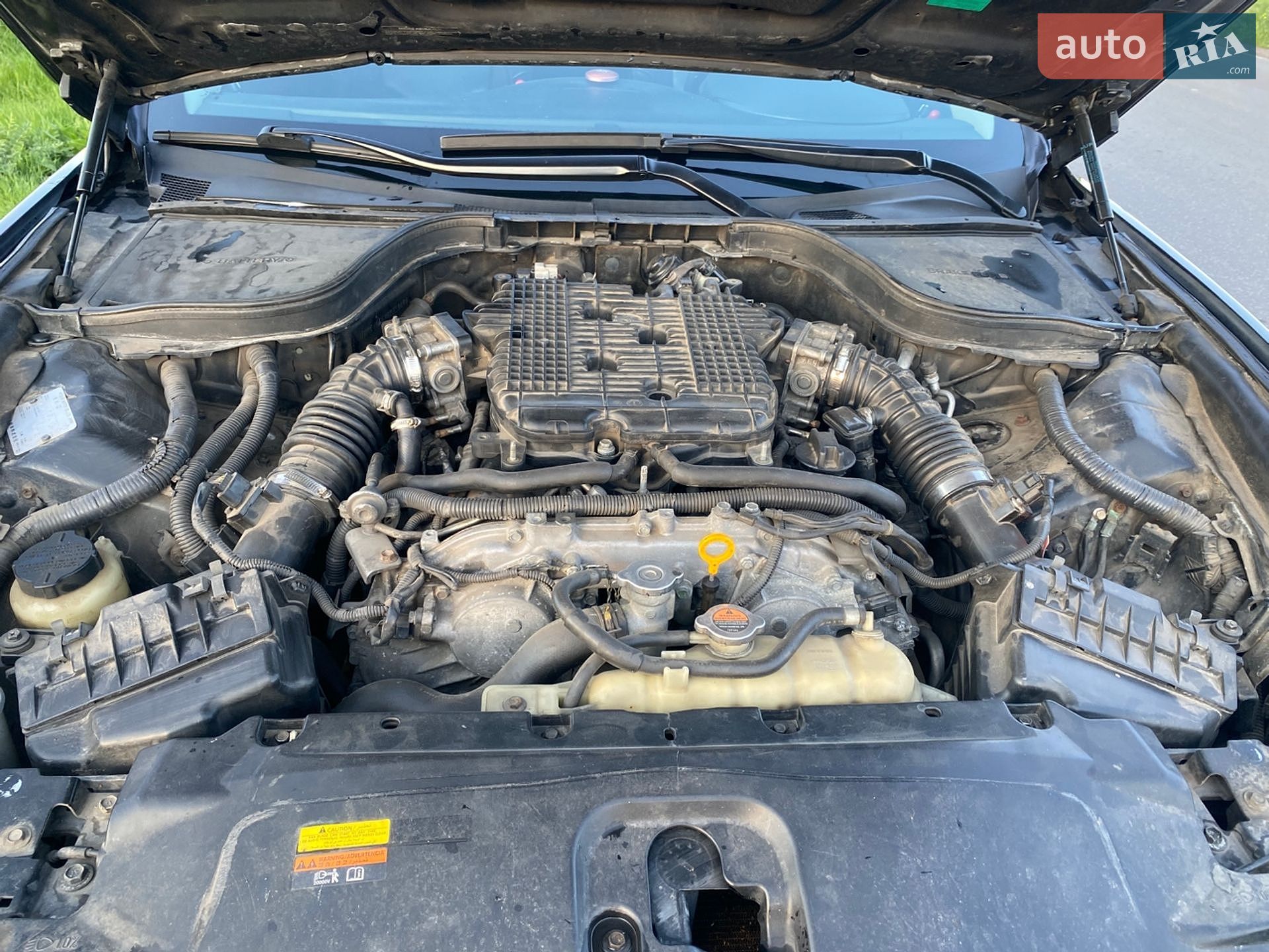 Infiniti G37 2009 VIN JNKCV64E98M350494 фото оголошення 13 з 13