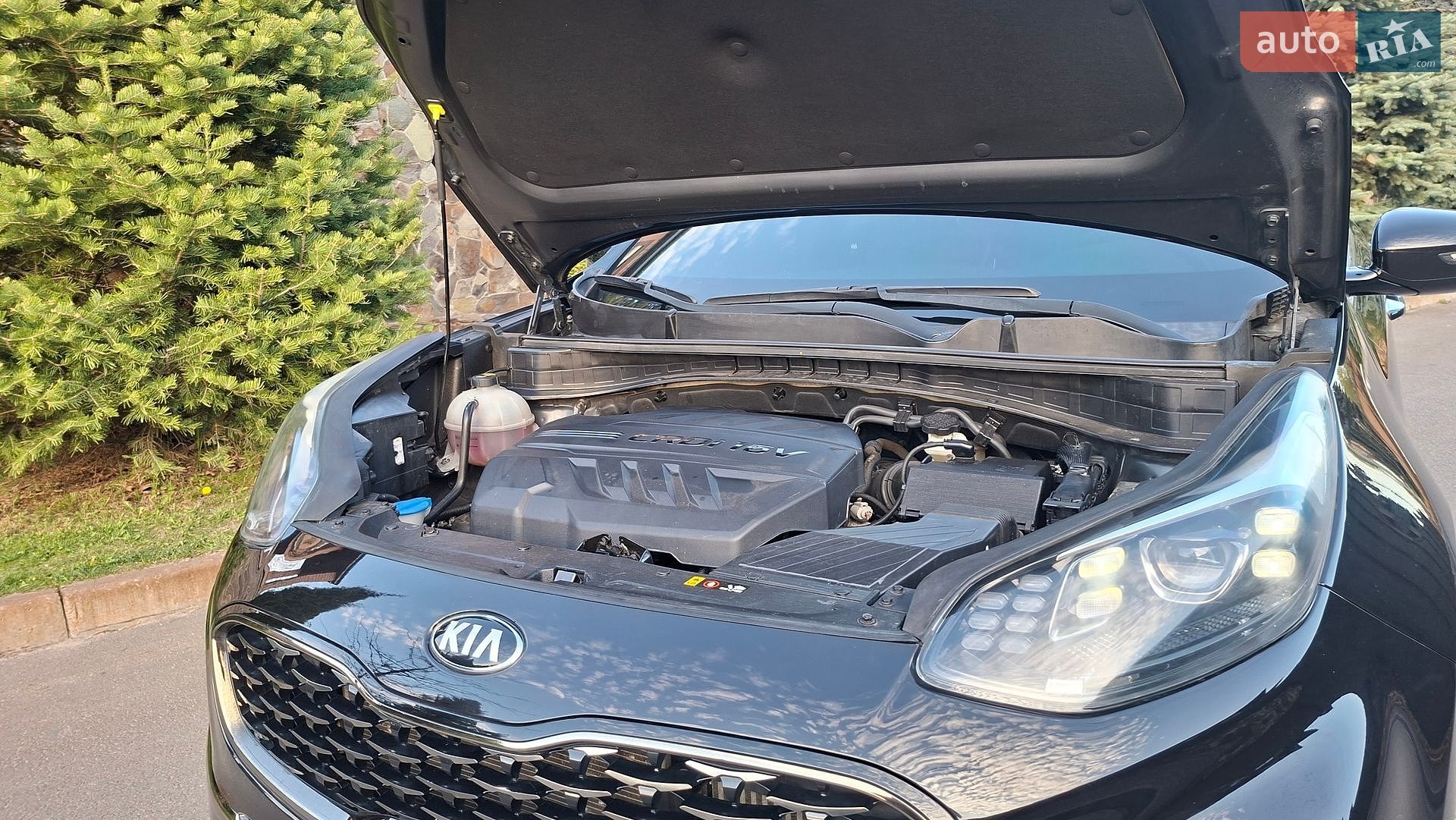 Kia Sportage 2019 VIN KNAPR813BKK595772 фото оголошення 81 з 83