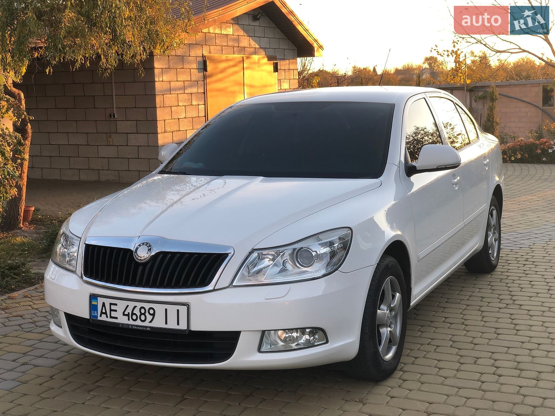 Skoda Octavia 2009 VIN TMBCK61ZX9C008061 фото оголошення 3 з 17