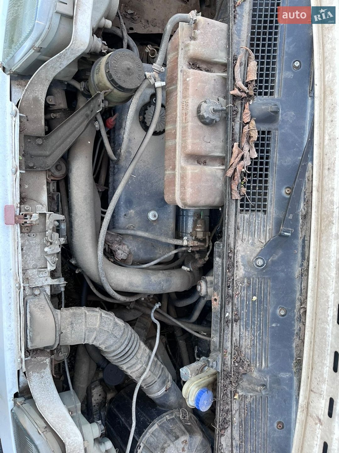 Fiat Ducato 1998 VIN ZFA23000005614107 фото оголошення 11 з 11