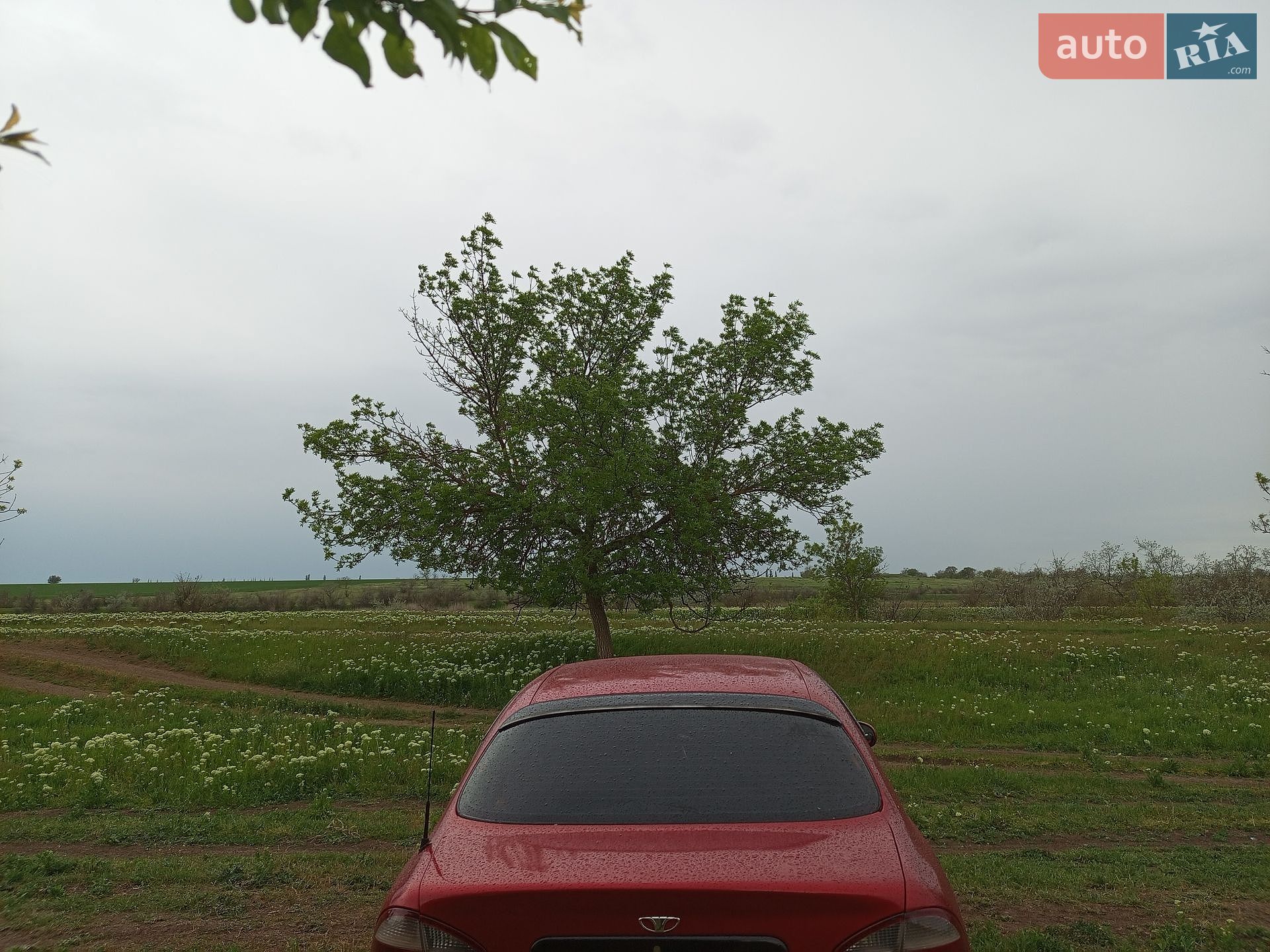 Daewoo Lanos 1998 VIN KLATF69YEWB191379 фото оголошення 3 з 13