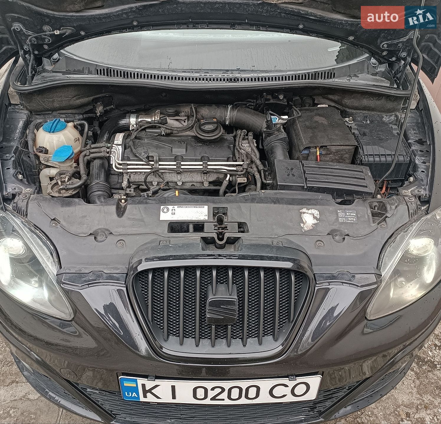 SEAT Altea XL 2011 VIN VSSZZZ5PZBR019210 фото оголошення 11 з 11