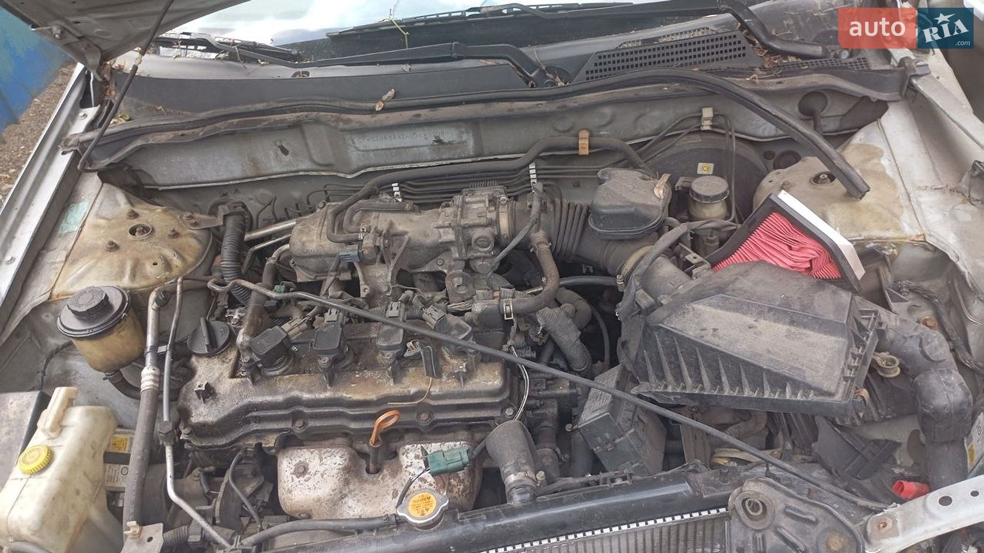 Nissan Almera 2006 VIN SJNBBAN16U2688209 фото оголошення 11 з 11
