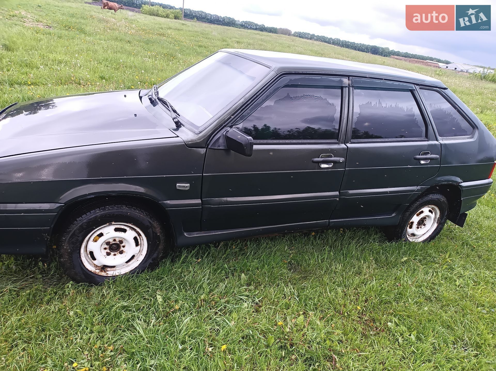 ВАЗ / Lada 2114 Samara 2005 VIN XTA21140064095196 фото оголошення 34 з 34