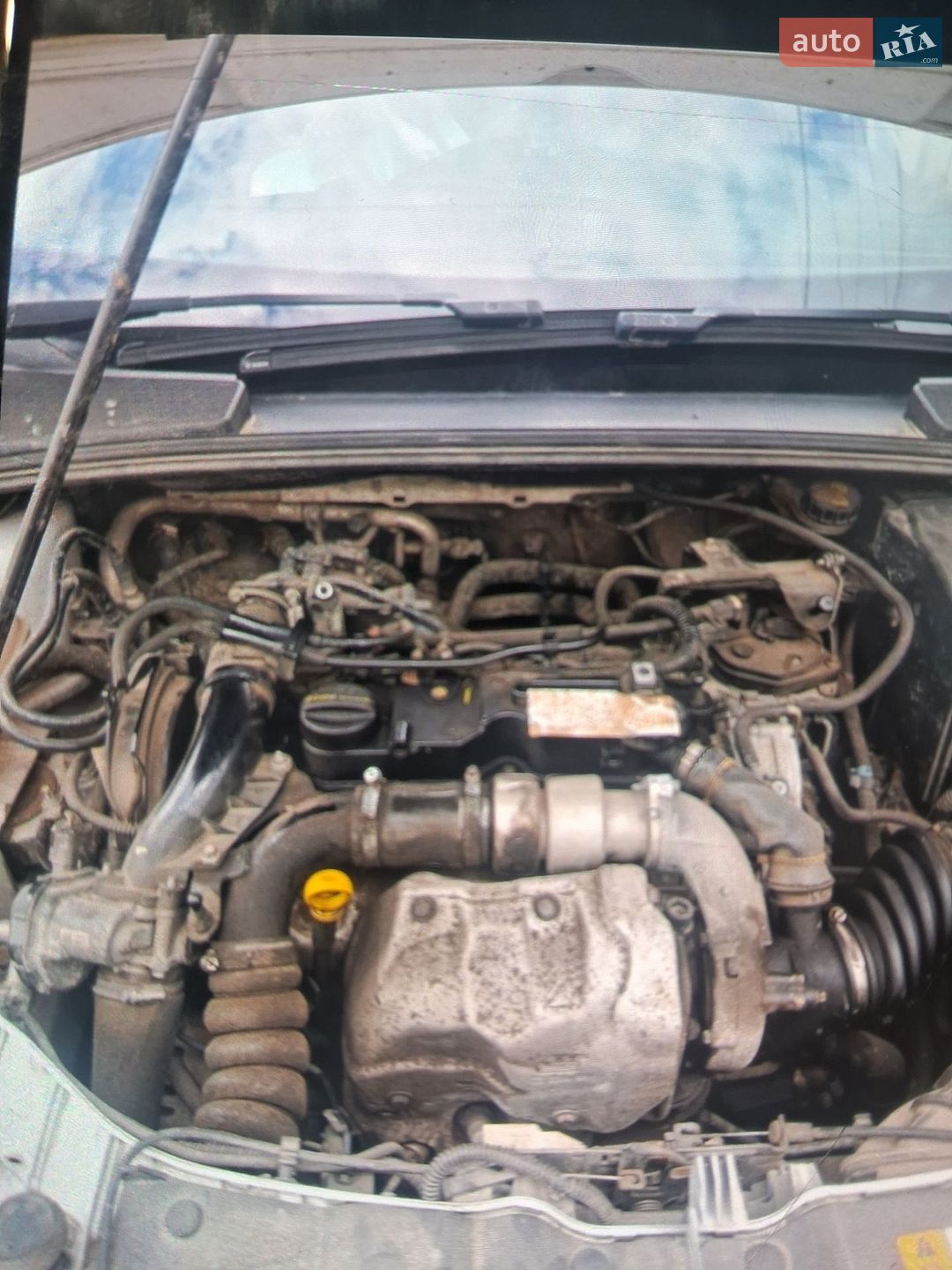 Ford Focus 2012 VIN WF0LXXGCBLCB66667 фото оголошення 2 з 18