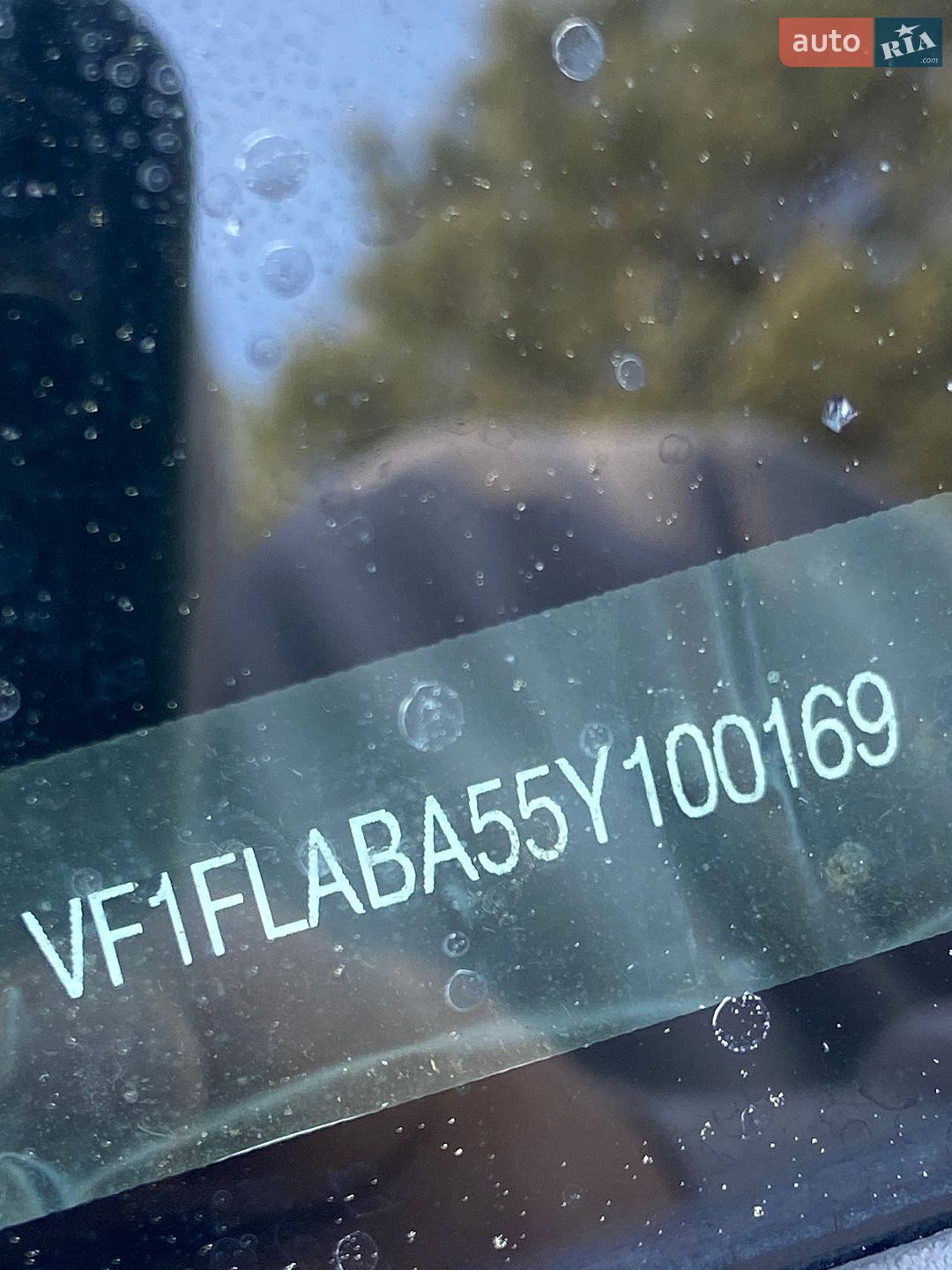 Renault Trafic 2005 VIN VF1FLABA55Y100169 фото оголошення 15 з 17