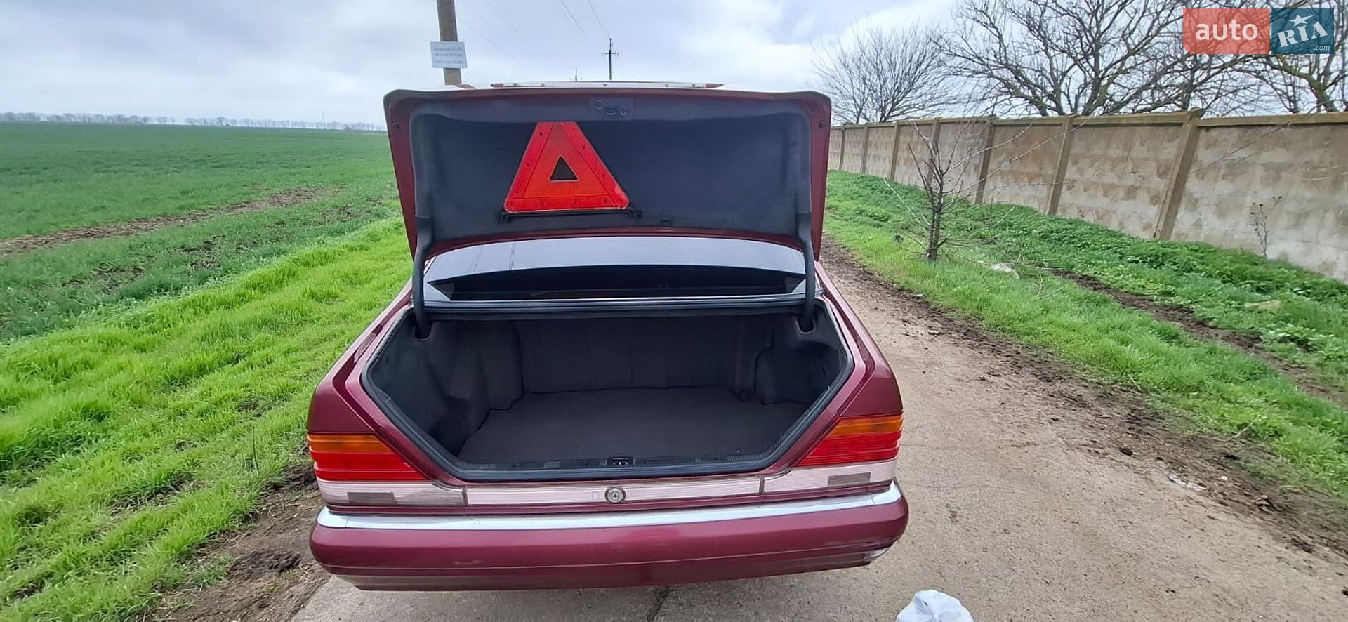 Mercedes-Benz S-Class 1995 VIN WDB1401341A274092 фото оголошення 8 з 14
