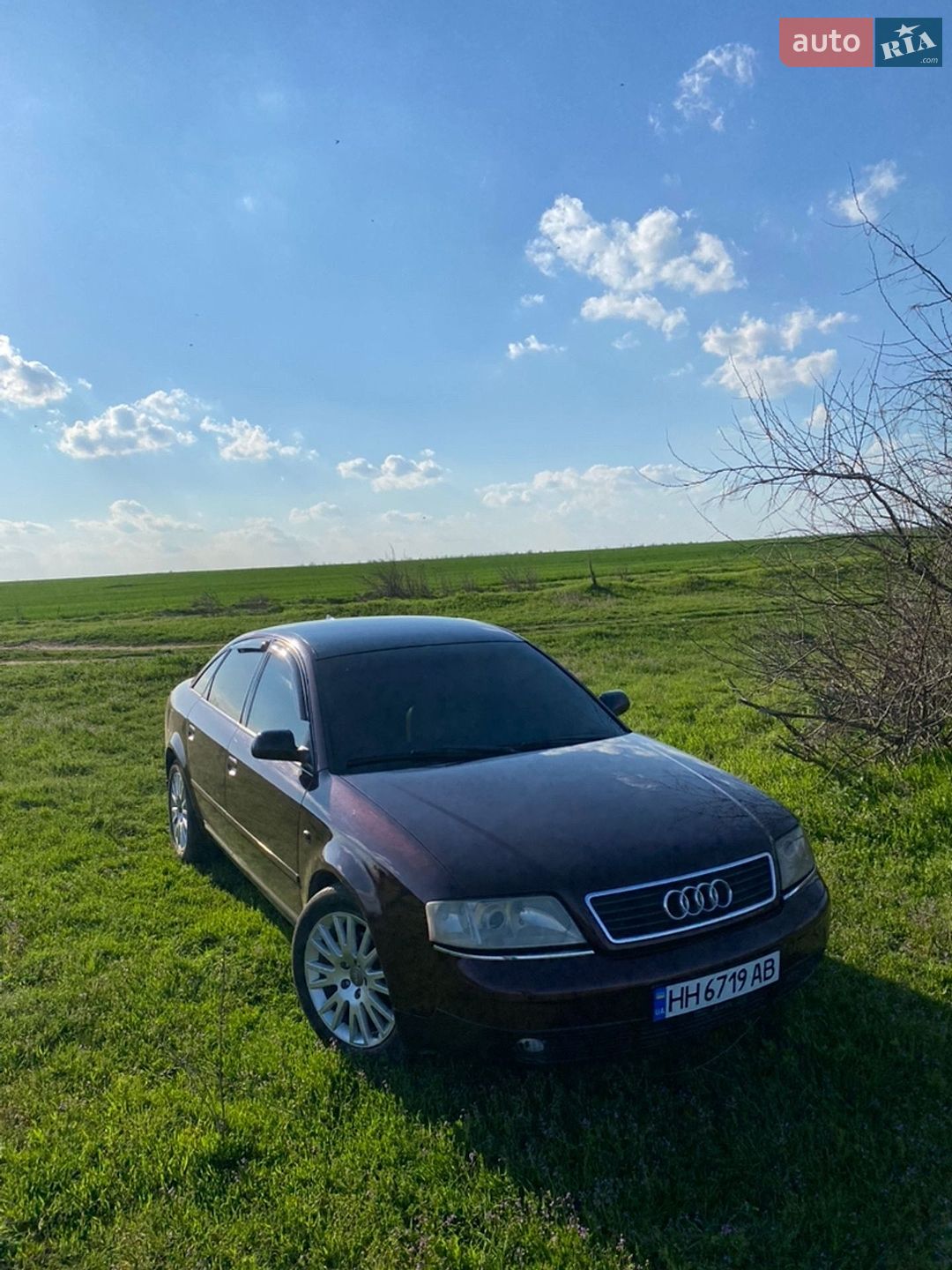 Audi A6 1999 VIN WAUZZZ4BZWN037645 фото оголошення 6 з 6