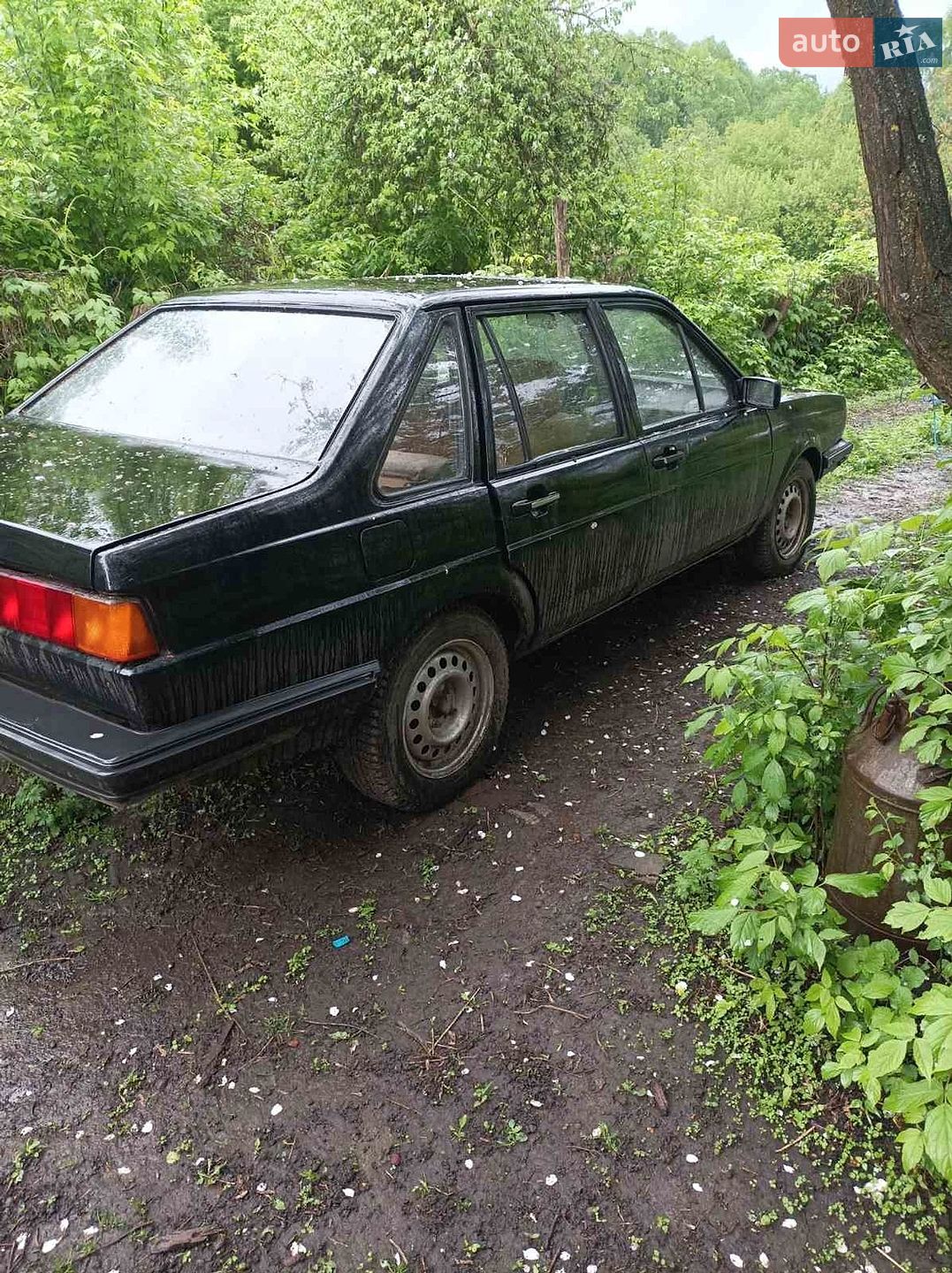 Volkswagen Santana 1982 VIN WVWZZZ32ZCE123547 фото оголошення 3 з 3