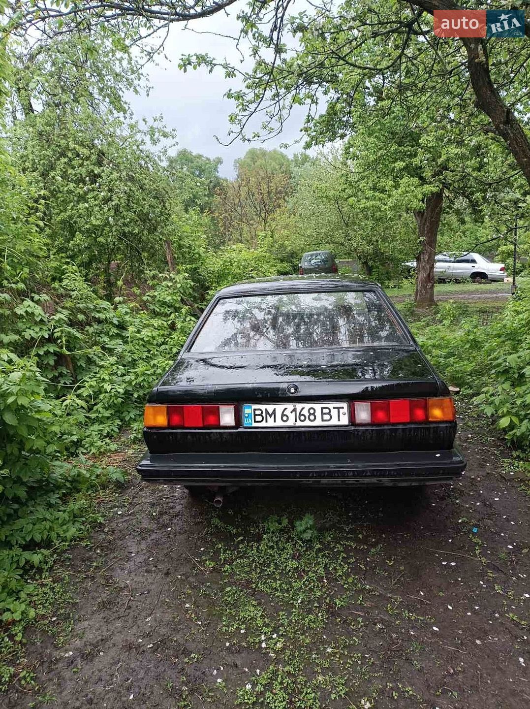 Volkswagen Santana 1982 VIN WVWZZZ32ZCE123547 фото оголошення 2 з 3