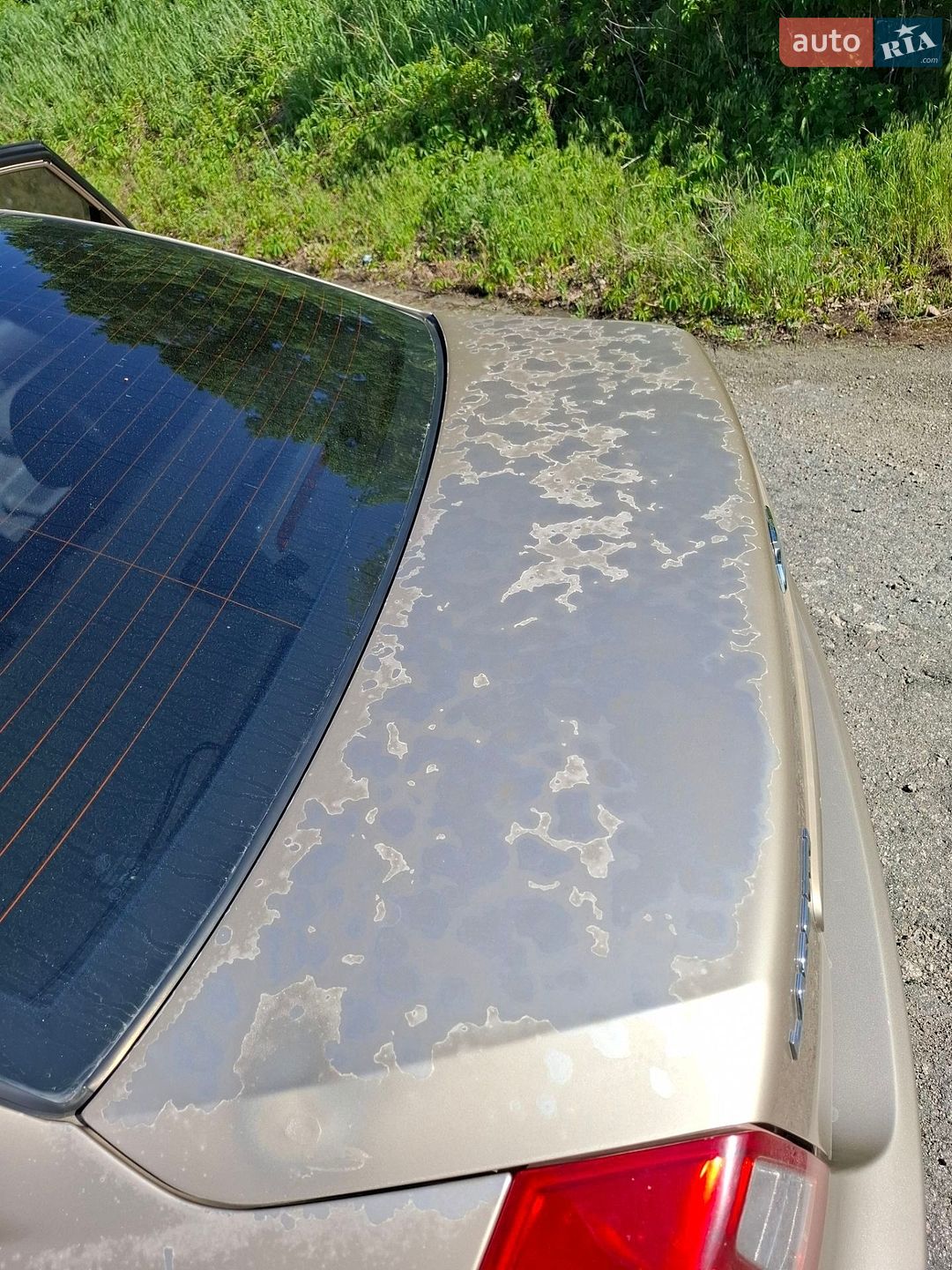 Chevrolet Lacetti 2005 VIN Y6DNF193E6K270918 фото оголошення 22 з 42