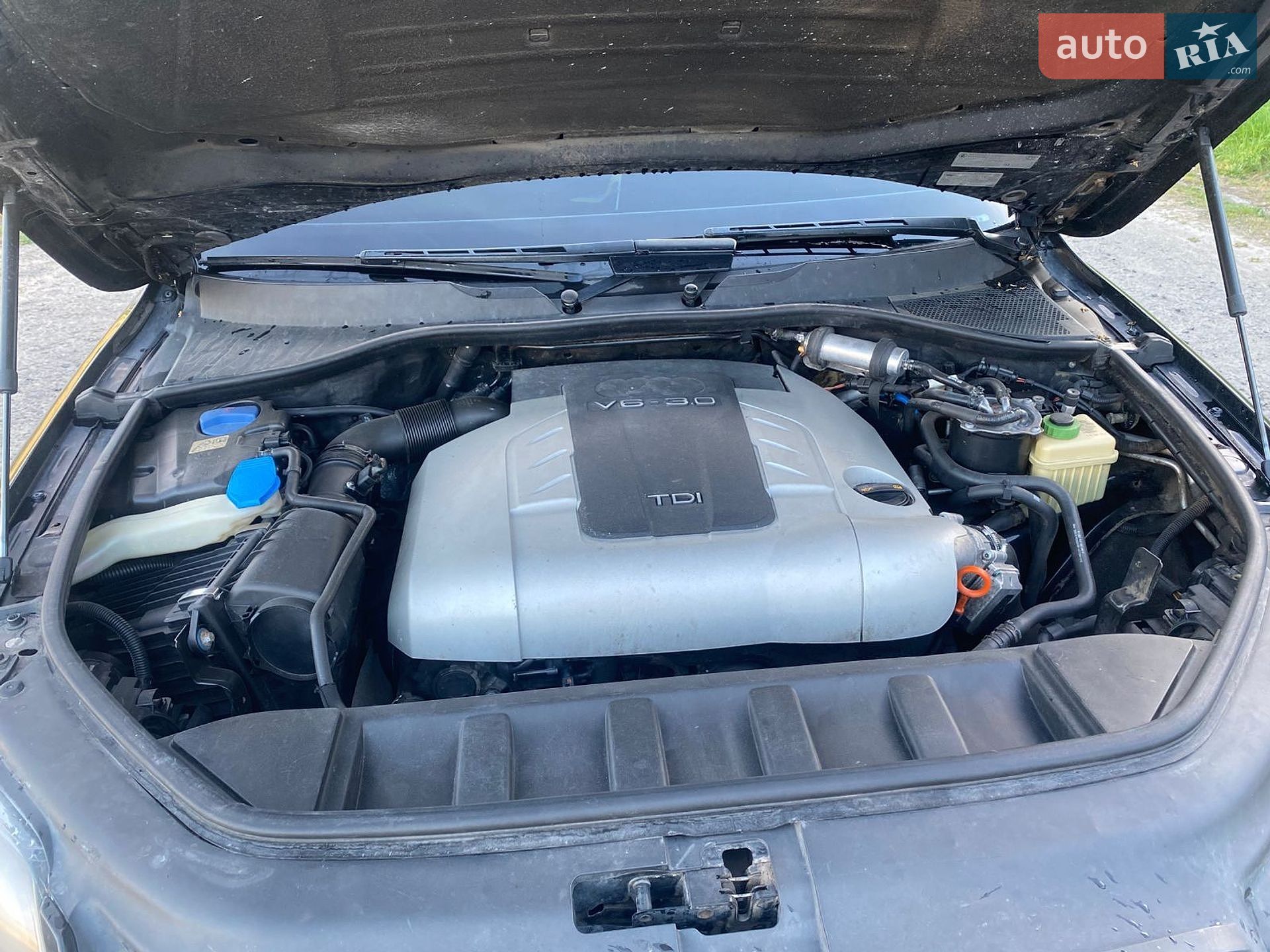 Audi Q7 2007 VIN WAUZZZ4L28D038823 фото оголошення 16 з 17