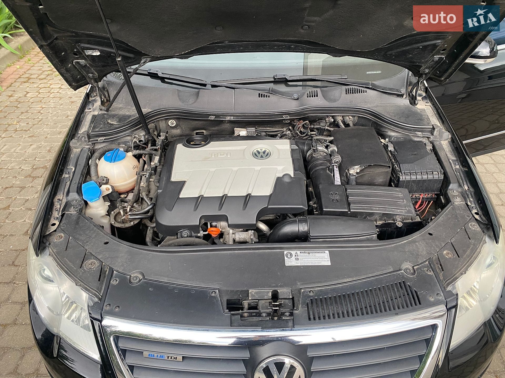 Volkswagen Passat 2009 VIN WVWZZZ3CZ9E130782 фото оголошення 53 з 57