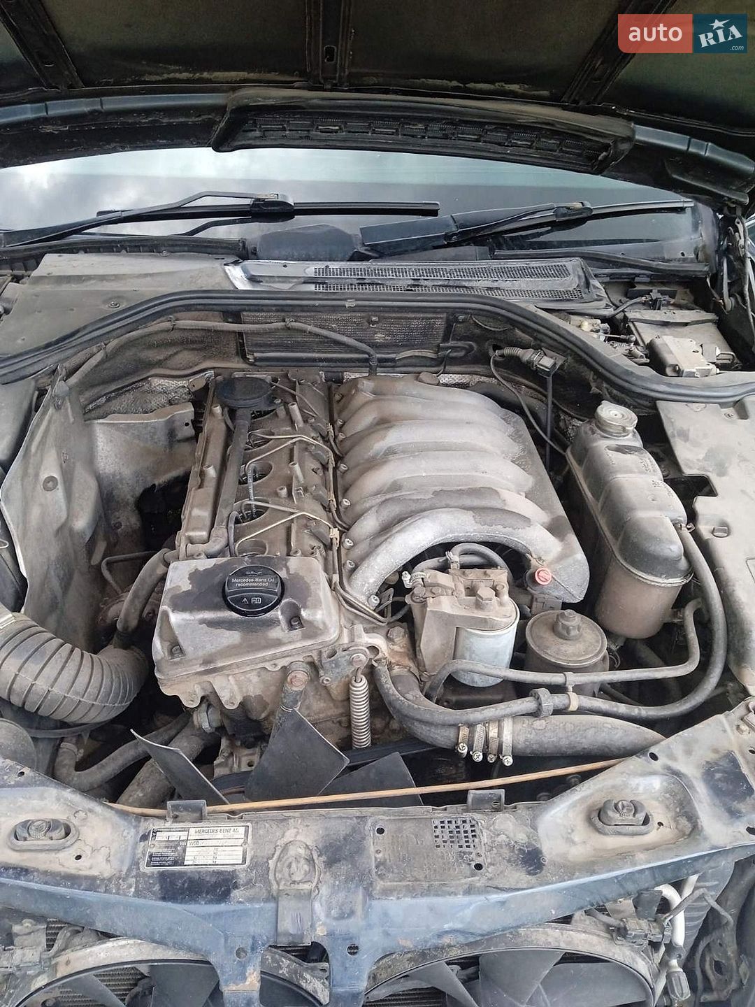 Mercedes-Benz S-Class 1997 VIN WDB1401351A348181 фото оголошення 15 з 15