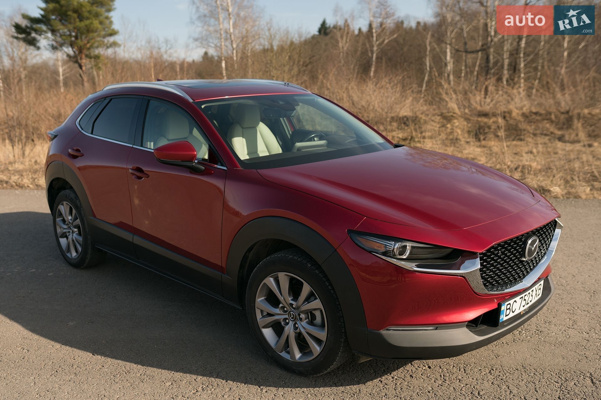 Mazda CX-30 2020 VIN 3MVDMBDM1MM215595 фото оголошення 19 з 64