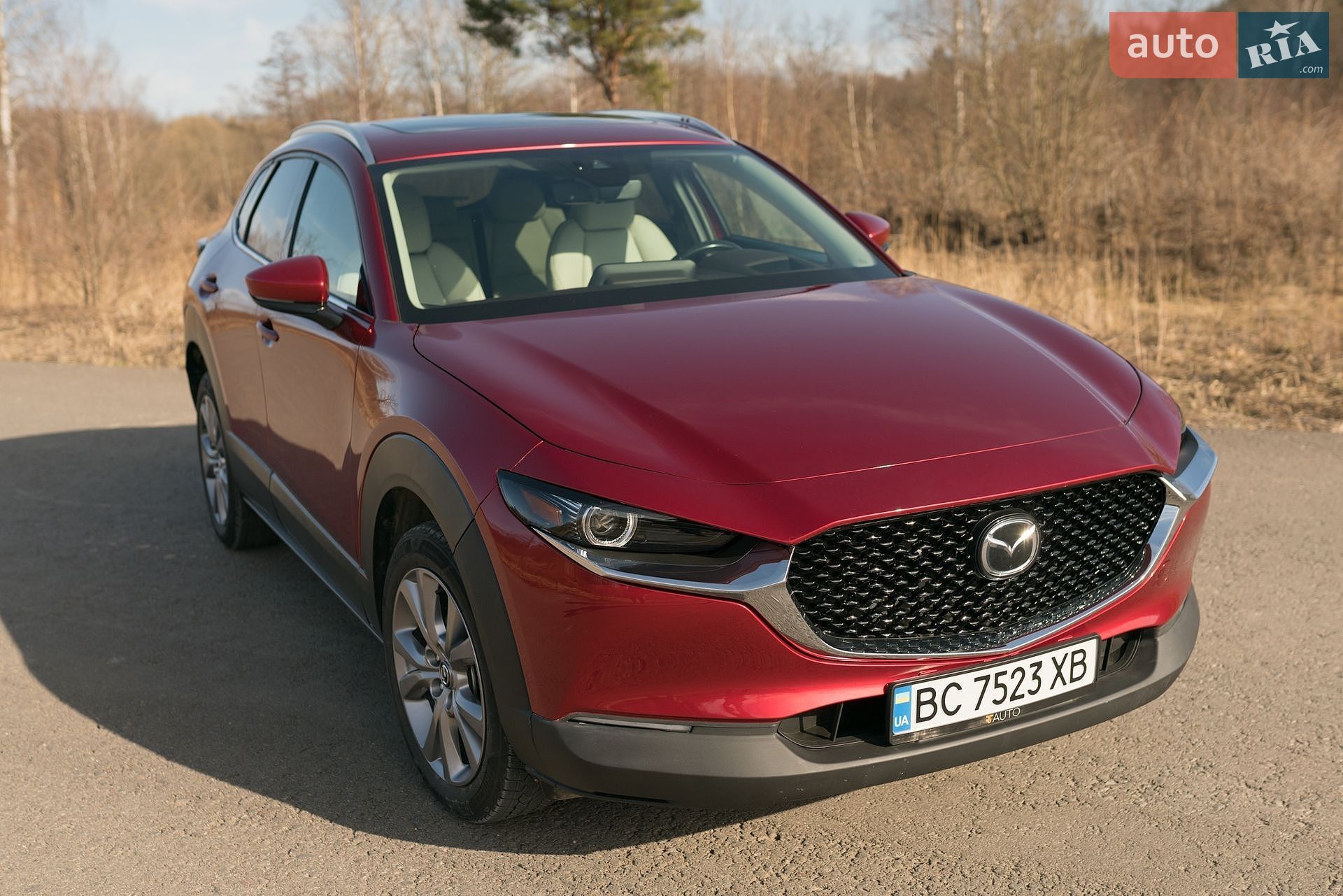 Mazda CX-30 2020 VIN 3MVDMBDM1MM215595 фото оголошення 21 з 64