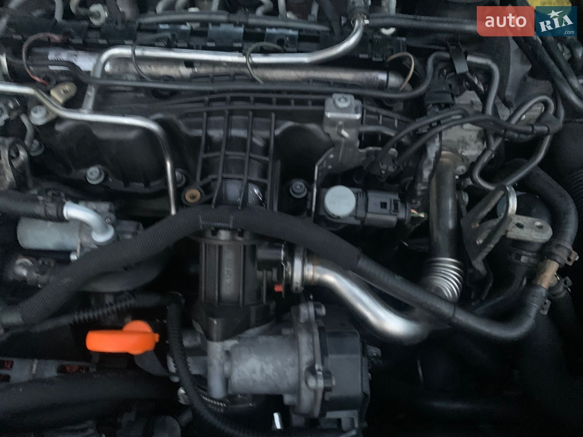 Skoda Rapid 2013 VIN TMBAL6NH5D4027982 фото оголошення 23 з 26